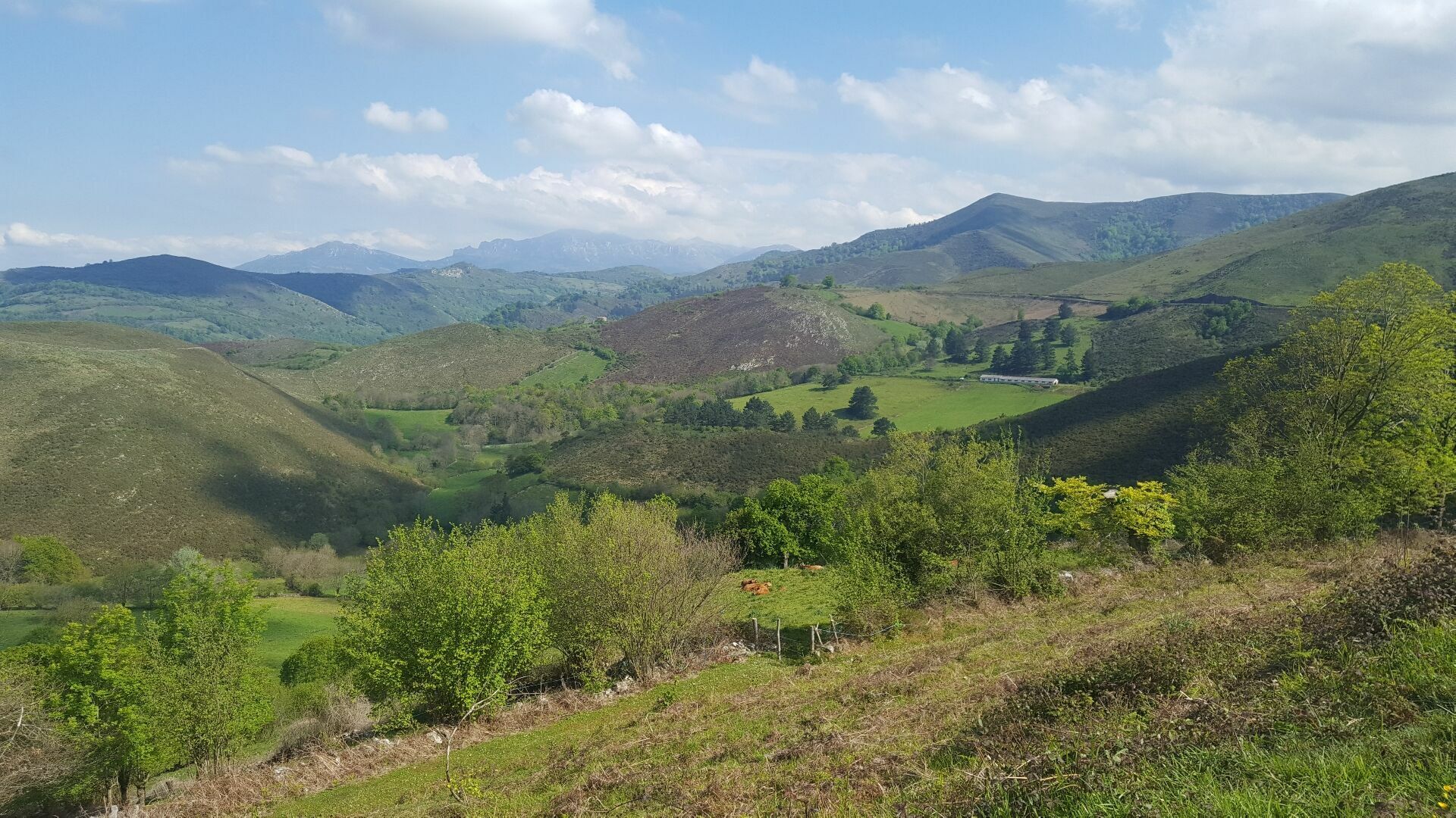 El Aramo in the background