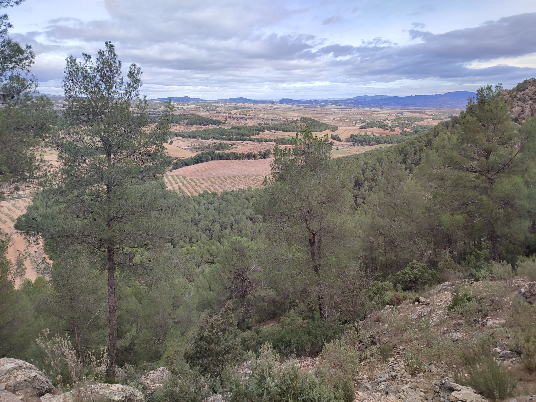 el valle de los almendros