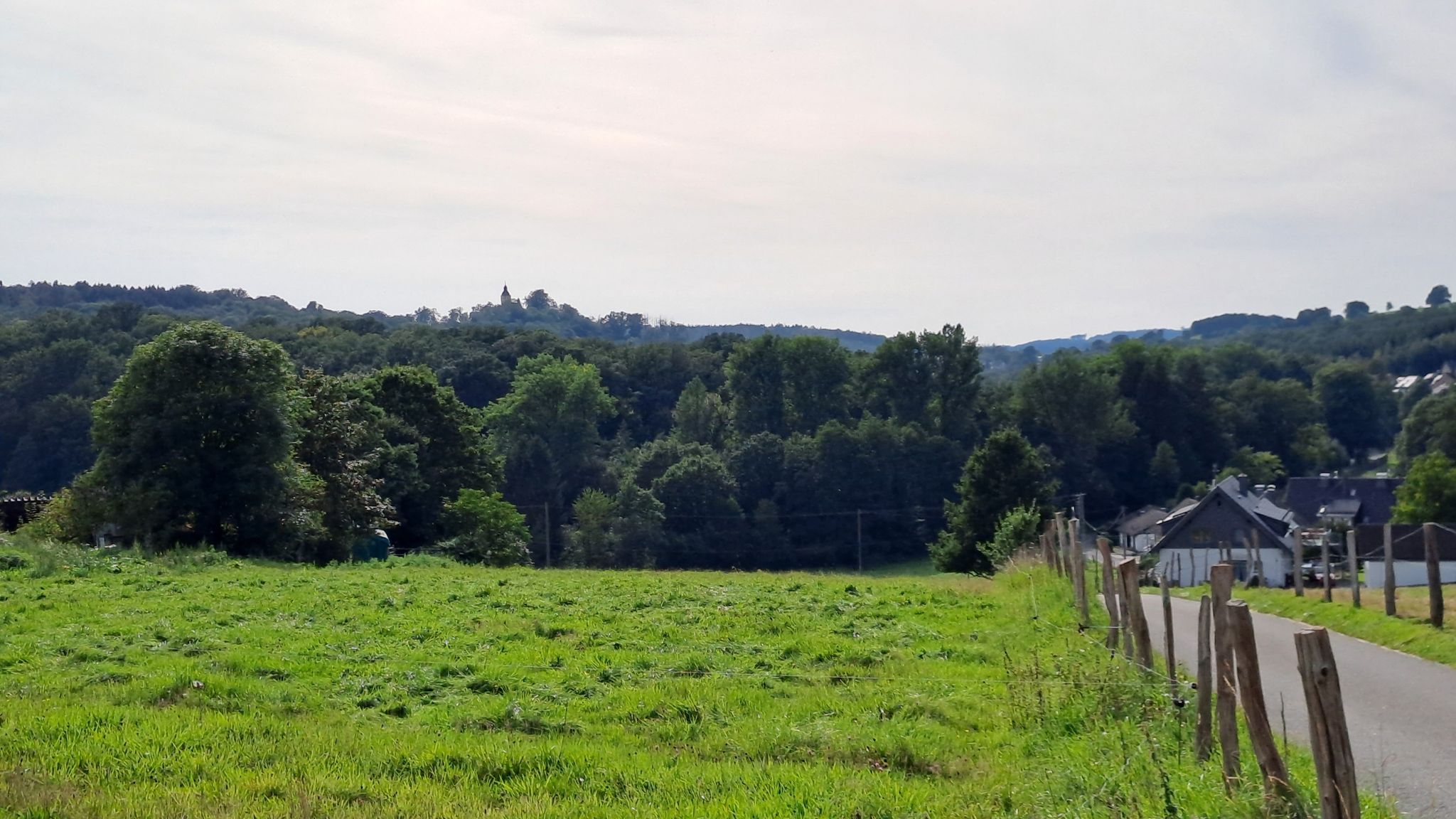 Sicht auf Schloss Homburg