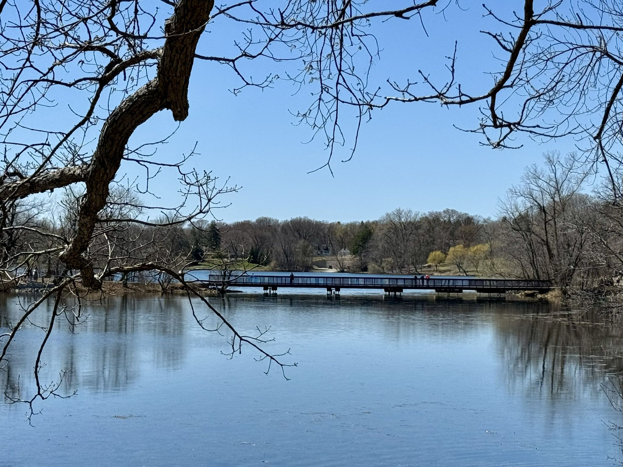 Bare branches frame a bridge over calm water under a clear blue sky. - Silverwood Park Trail