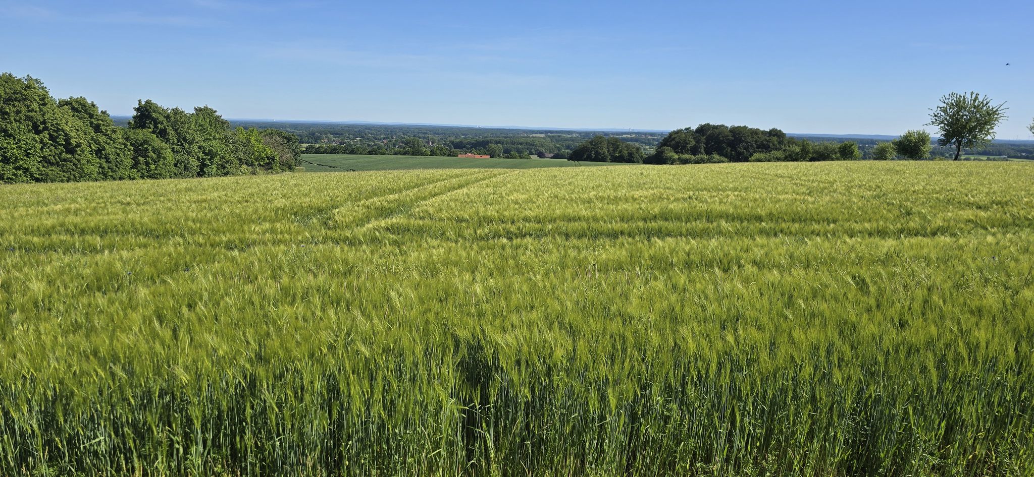 Holsterbrink mit Blich auf Rorup