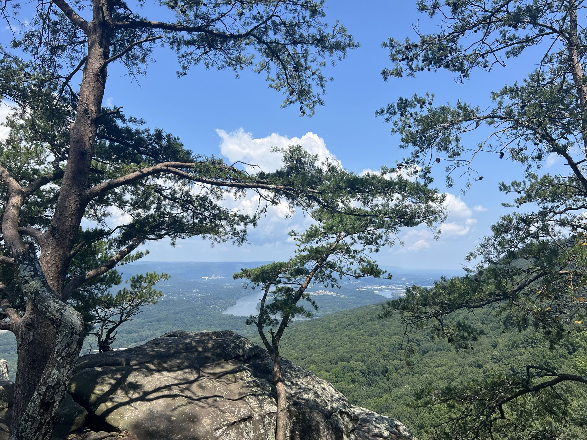Mountain vista through pine trees, showing a river and distant town. - Skyuka and Bluff Trails Loop