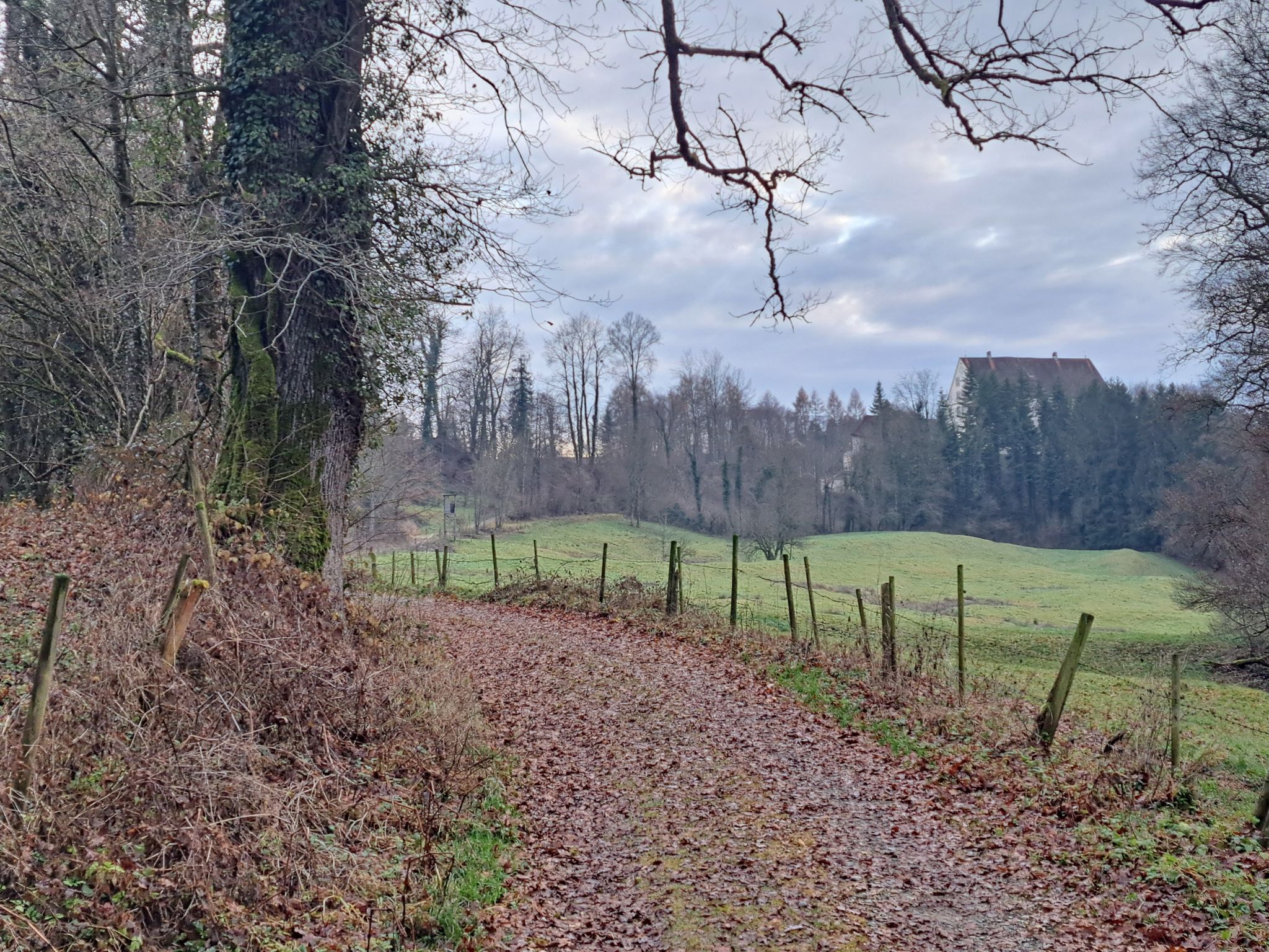 Weg zum Schloss Achberg