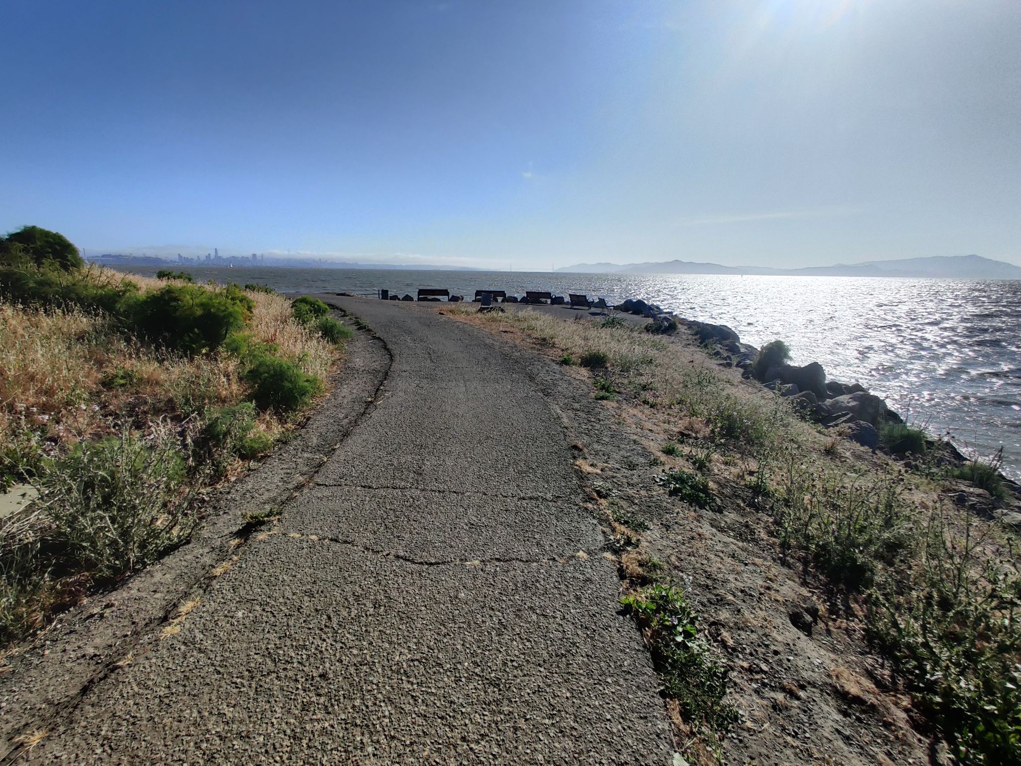 Cracked paved path along a bright, sun-drenched water body with a distant cityscape. - Dorothy Stegmann Trail Loop