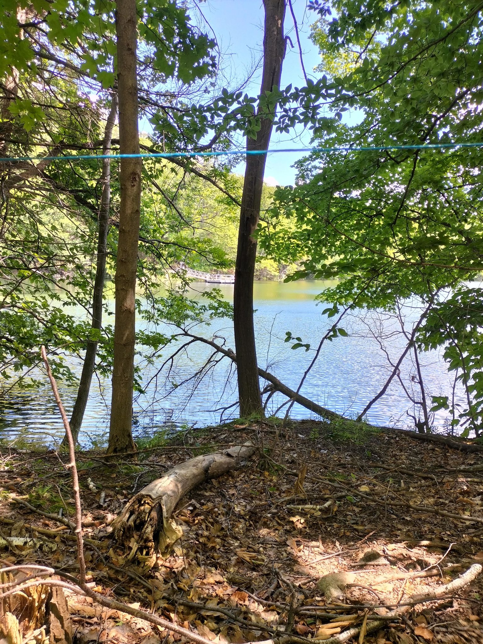 Lac des Bouleaux