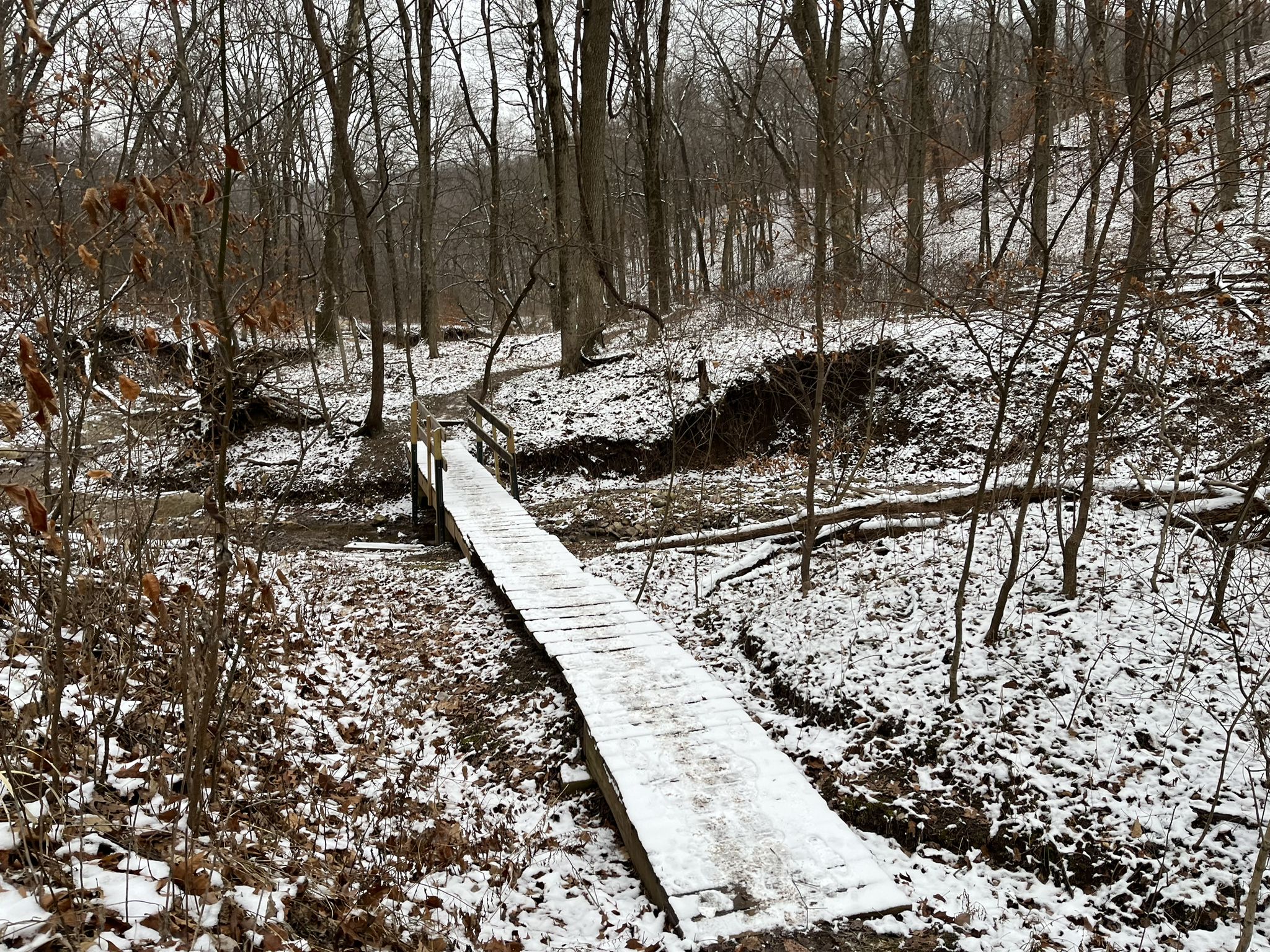 Snow-covered wooden bridge crosses a stream in a bare winter forest. - Forest Trail, Hill Prairie Path, and Shagbark Trail Loop