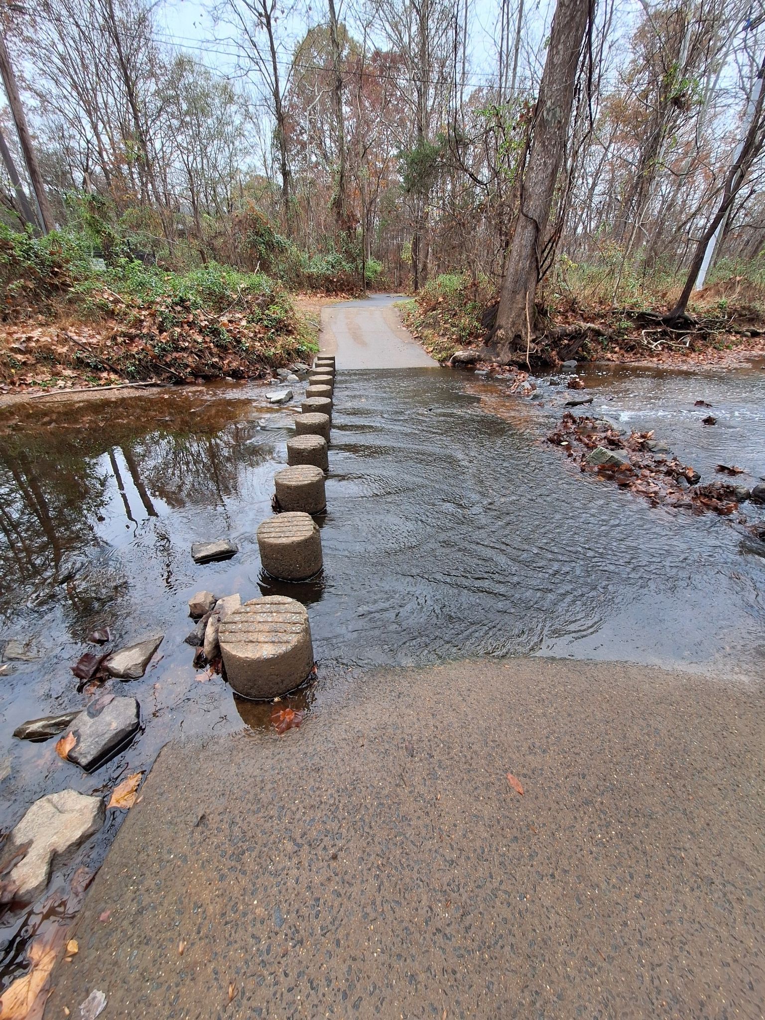 Stepping stones across a shallow stream on a paved path, surrounded by bare trees. - Sugarland Run Trail Loop