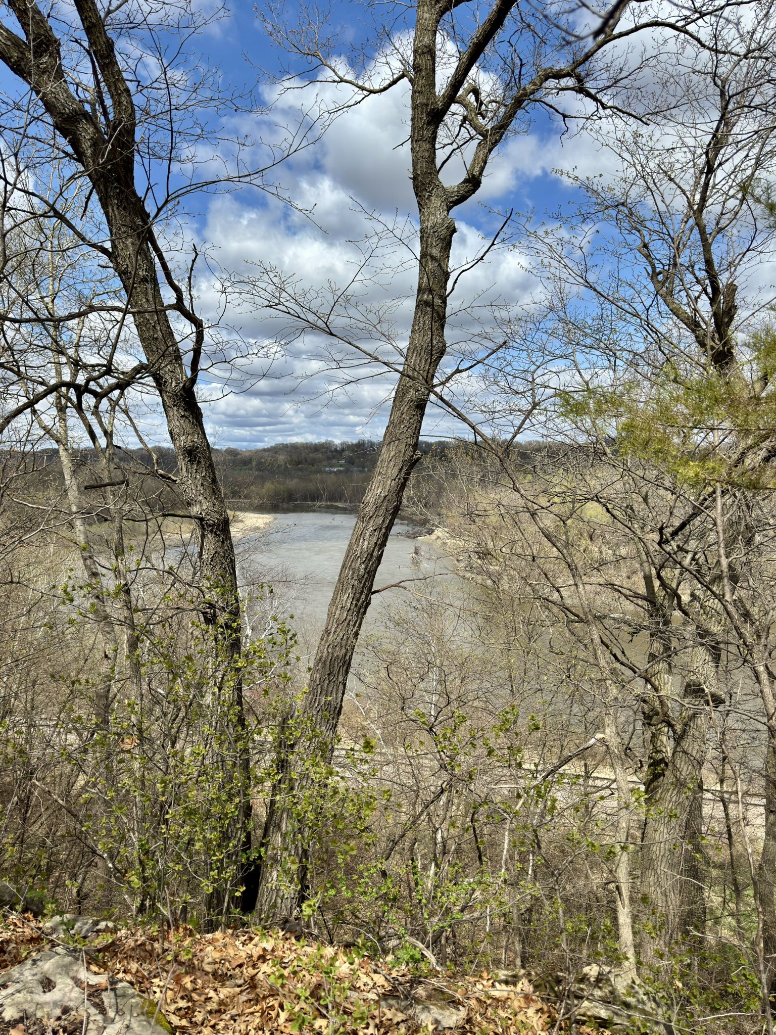 Bare trees frame a wide river and distant landscape under a cloudy sky. - Minneopa State Park – Seppman Mill loop from South Bend Township
