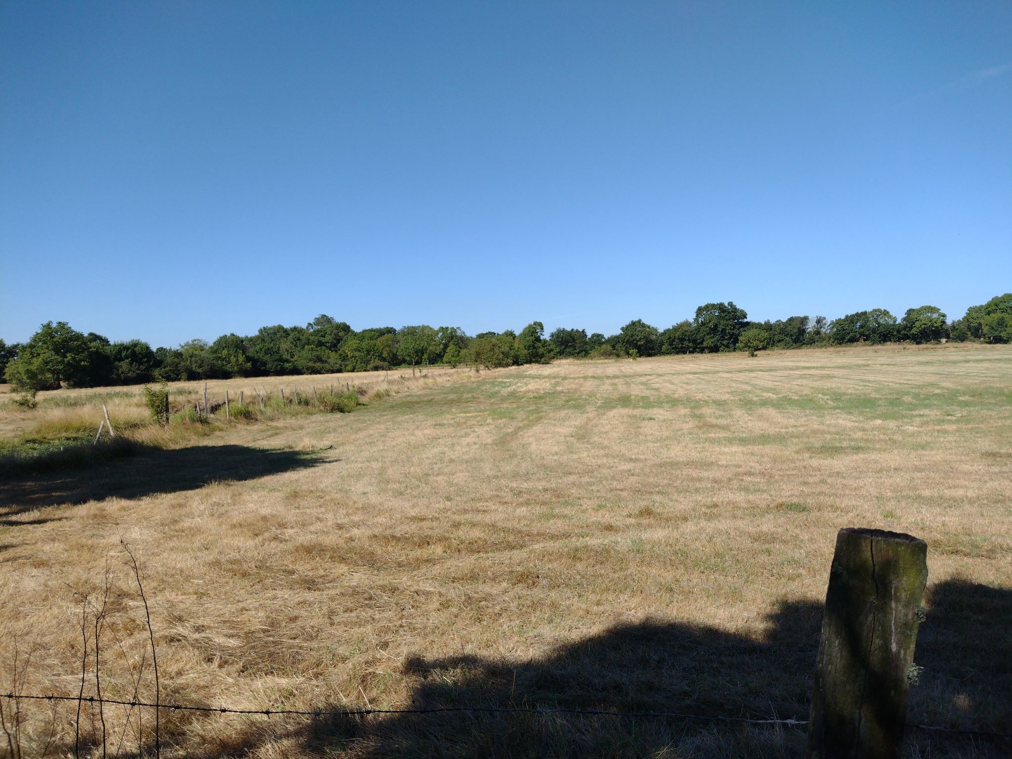 Le marais entre Corsept et St Brevin