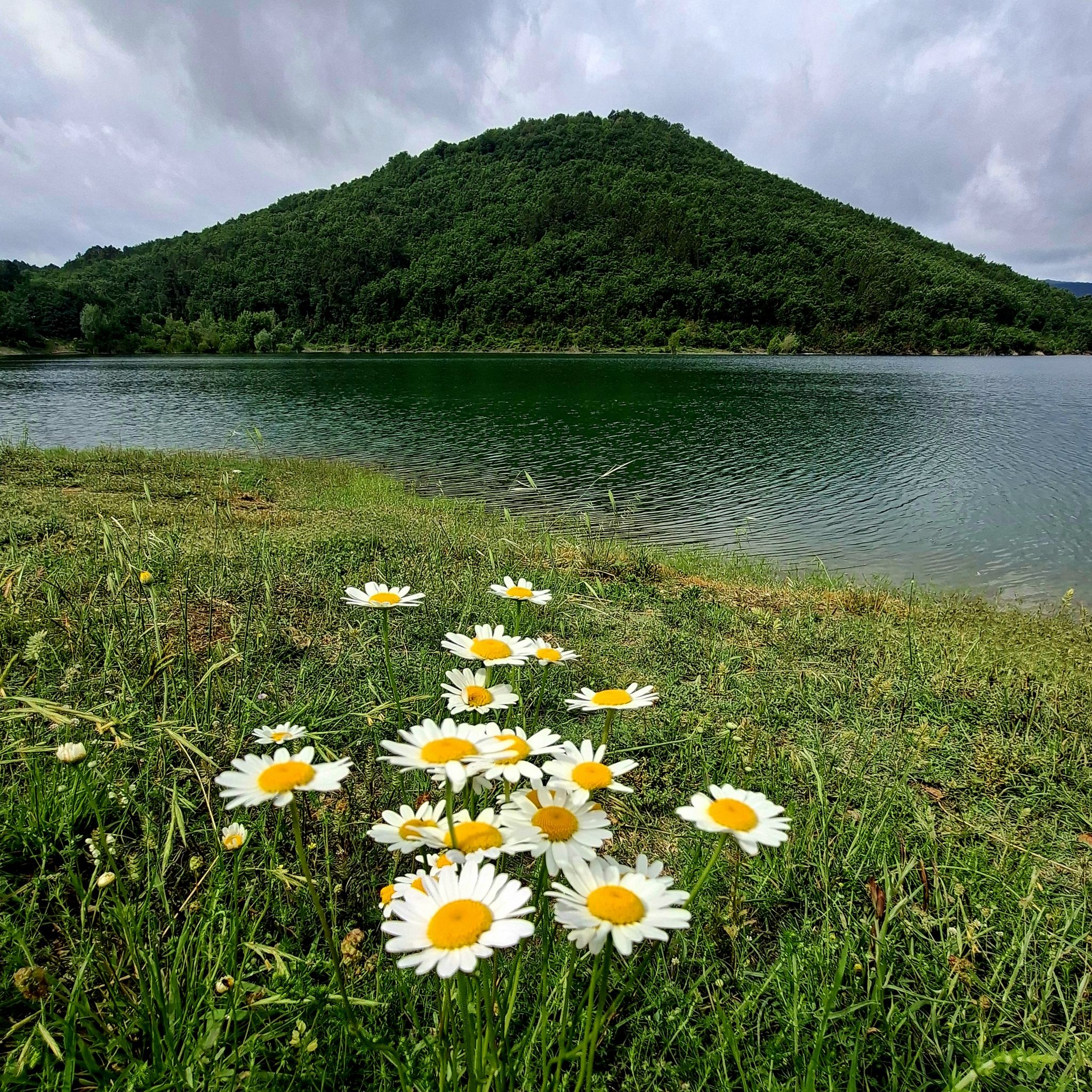 Lungo lago, Diga di Montedoglio.