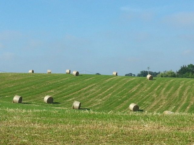 Landschaft im Gers