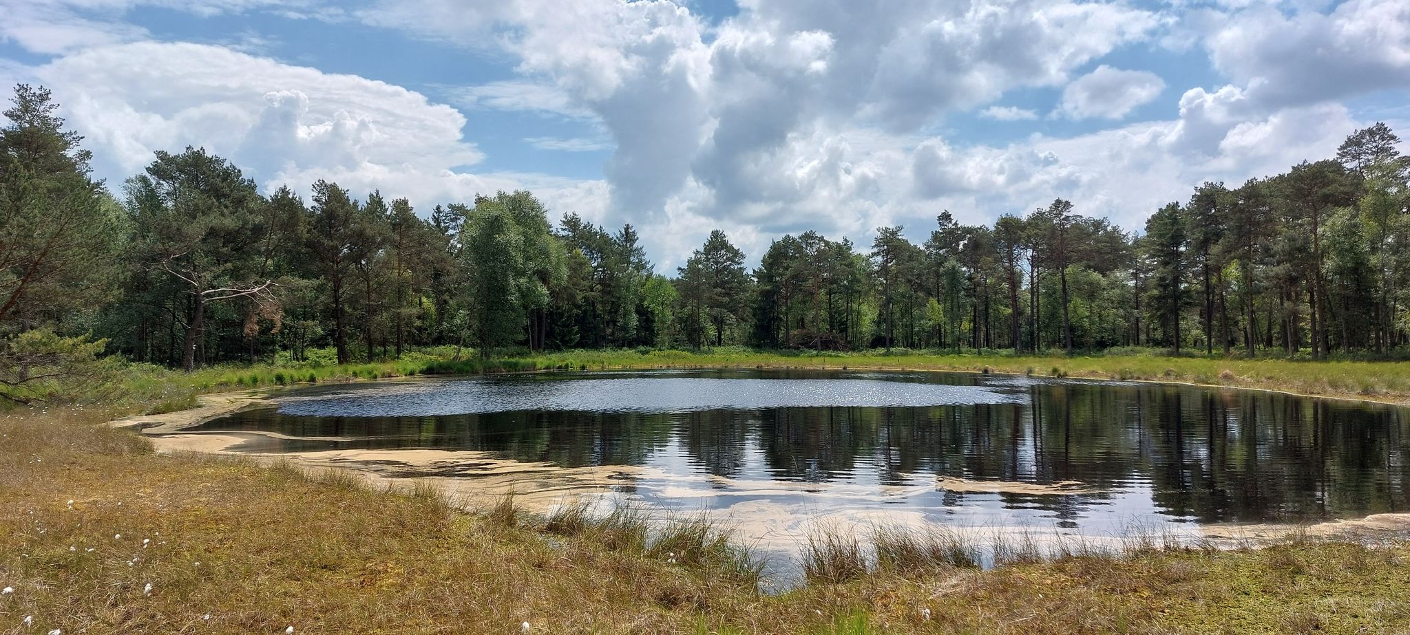 Moorteich