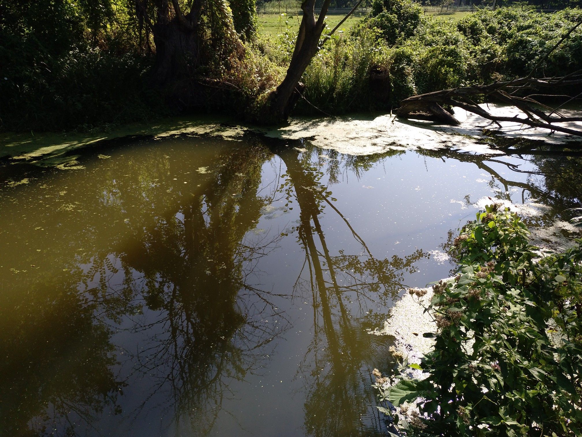 Ein keiner Kanal....könnte unser Schweiß sein: 34°C, puuuuh