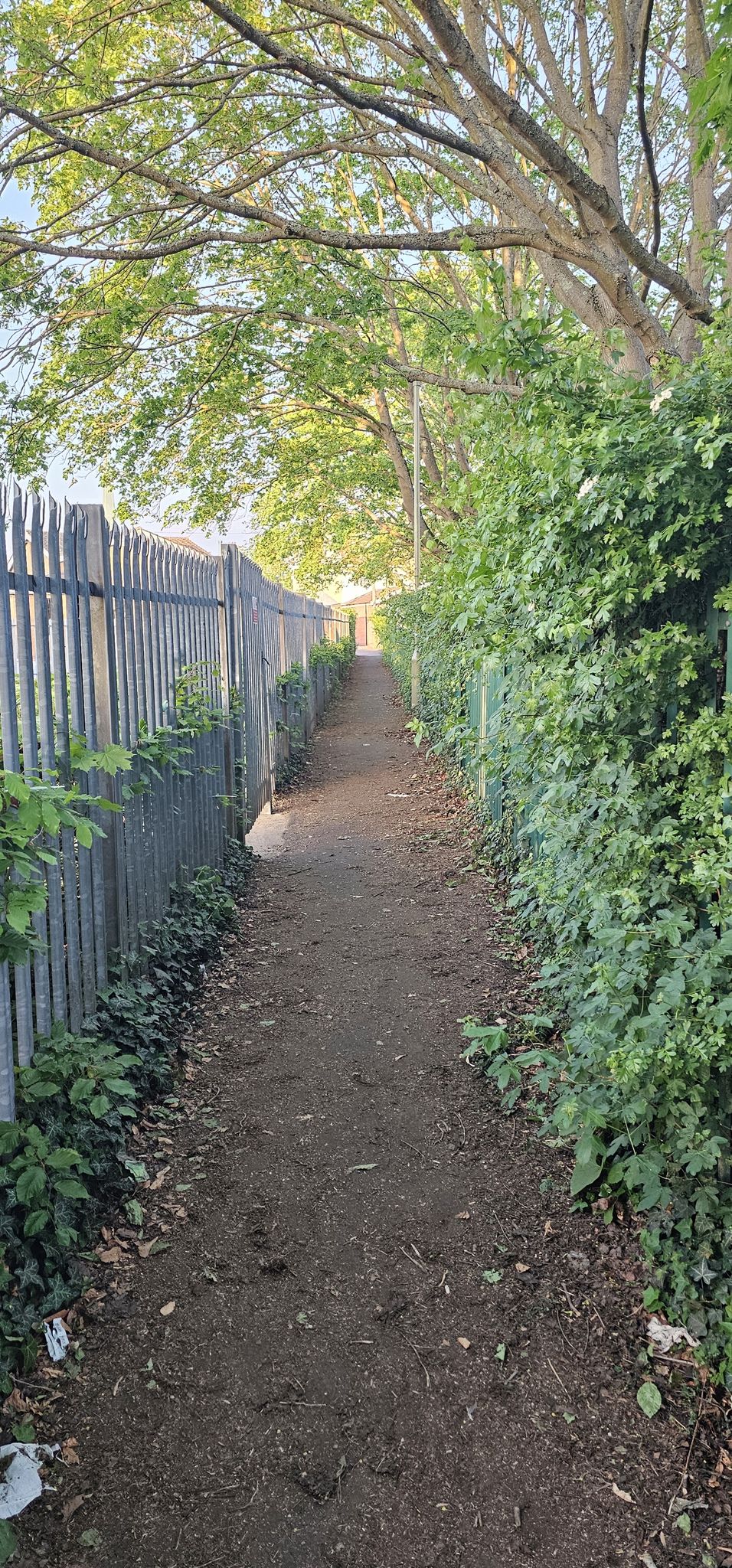 Alley 3