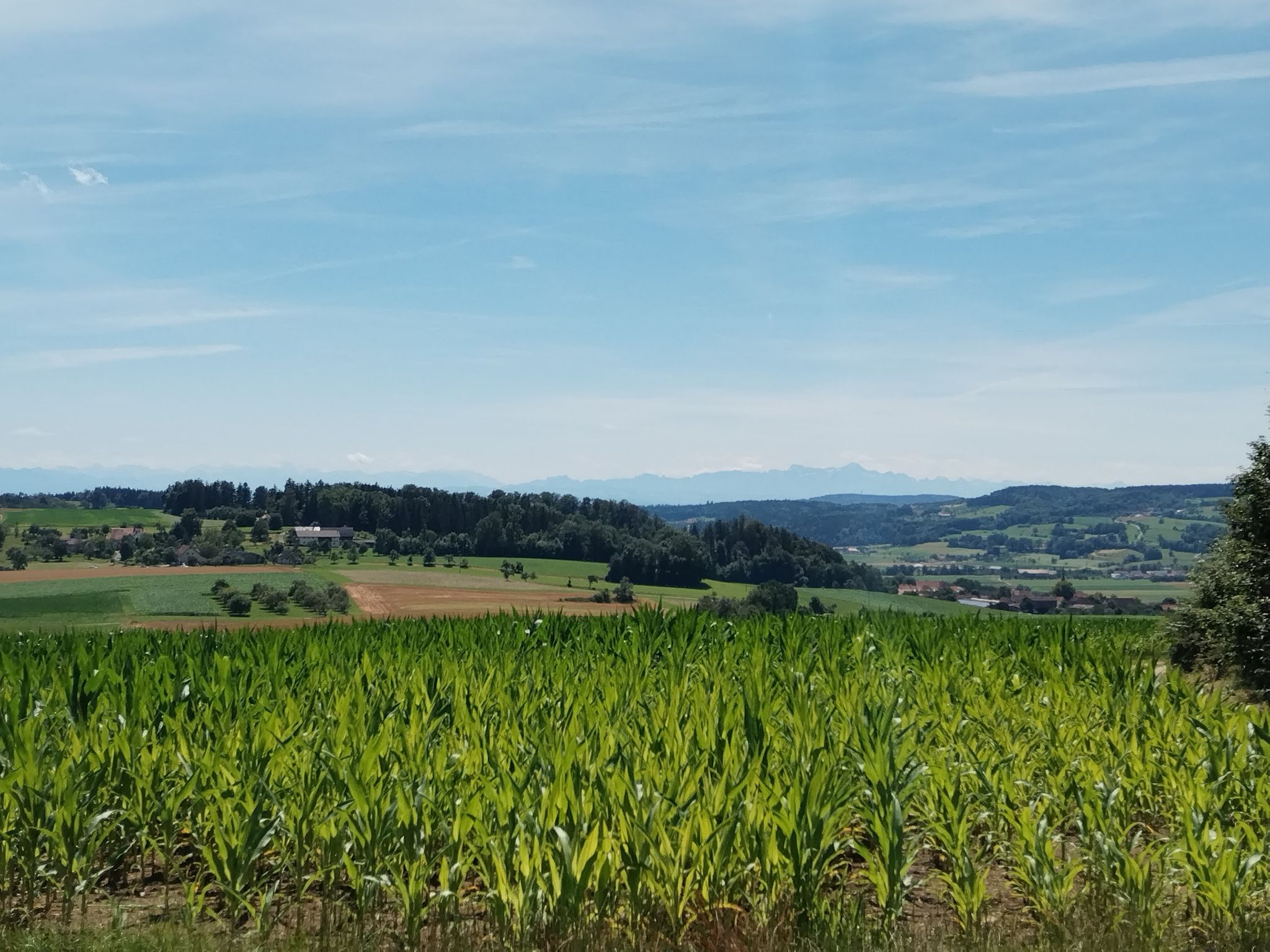 Super Blick in die Berge