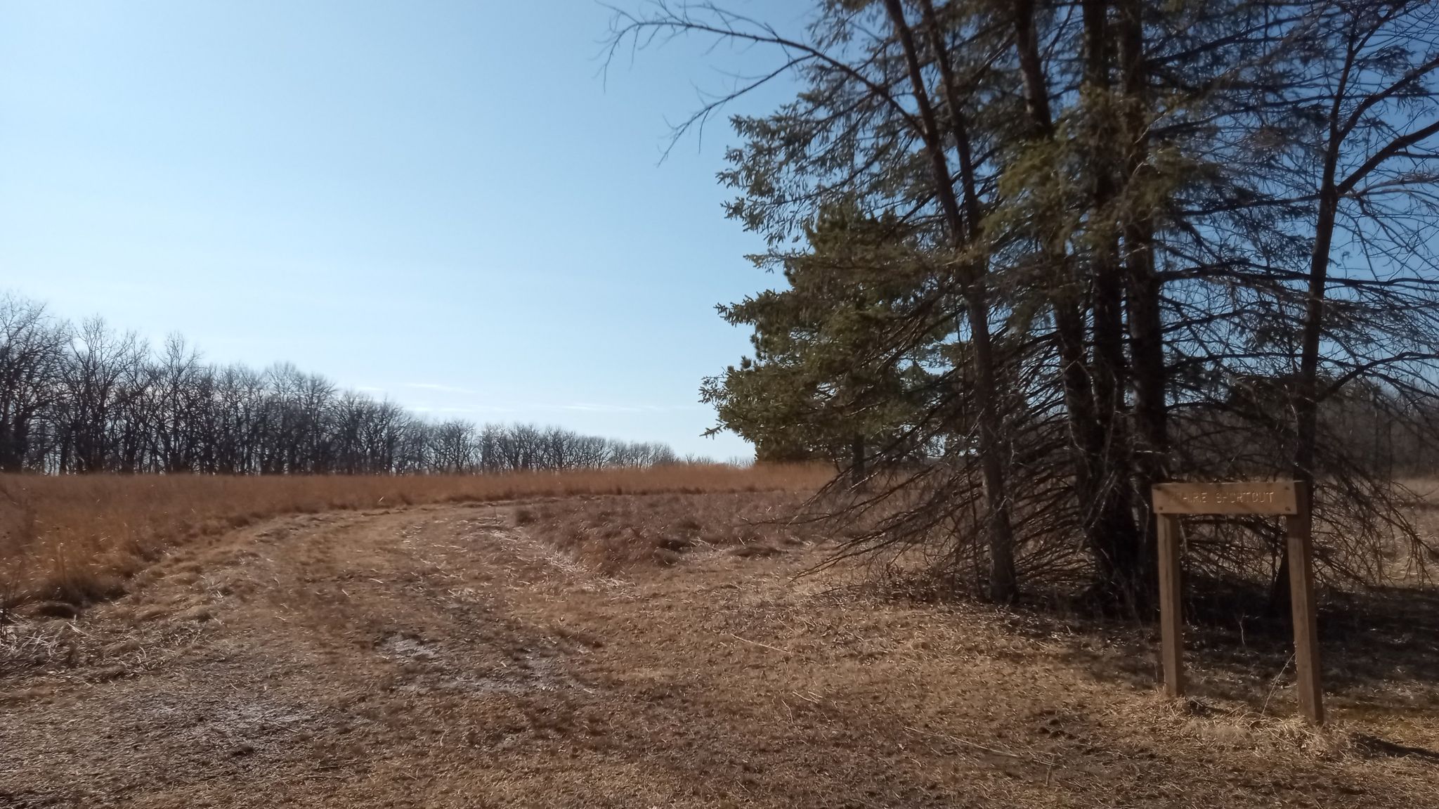 prairie up on top of the bluff