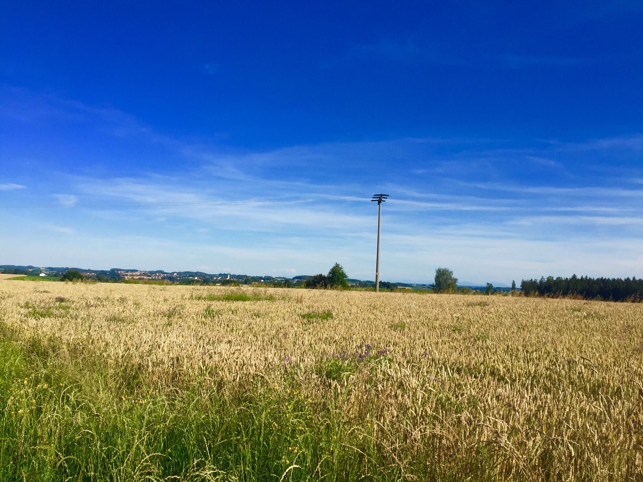 Ausblick auf Velden