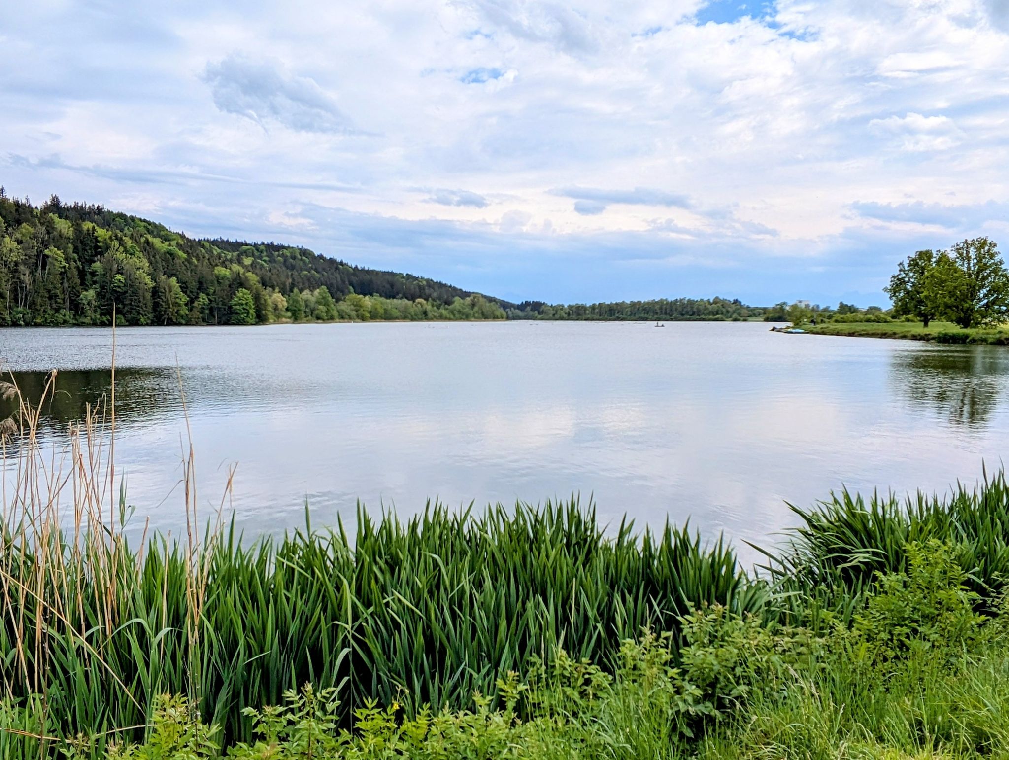 Bachtelsee