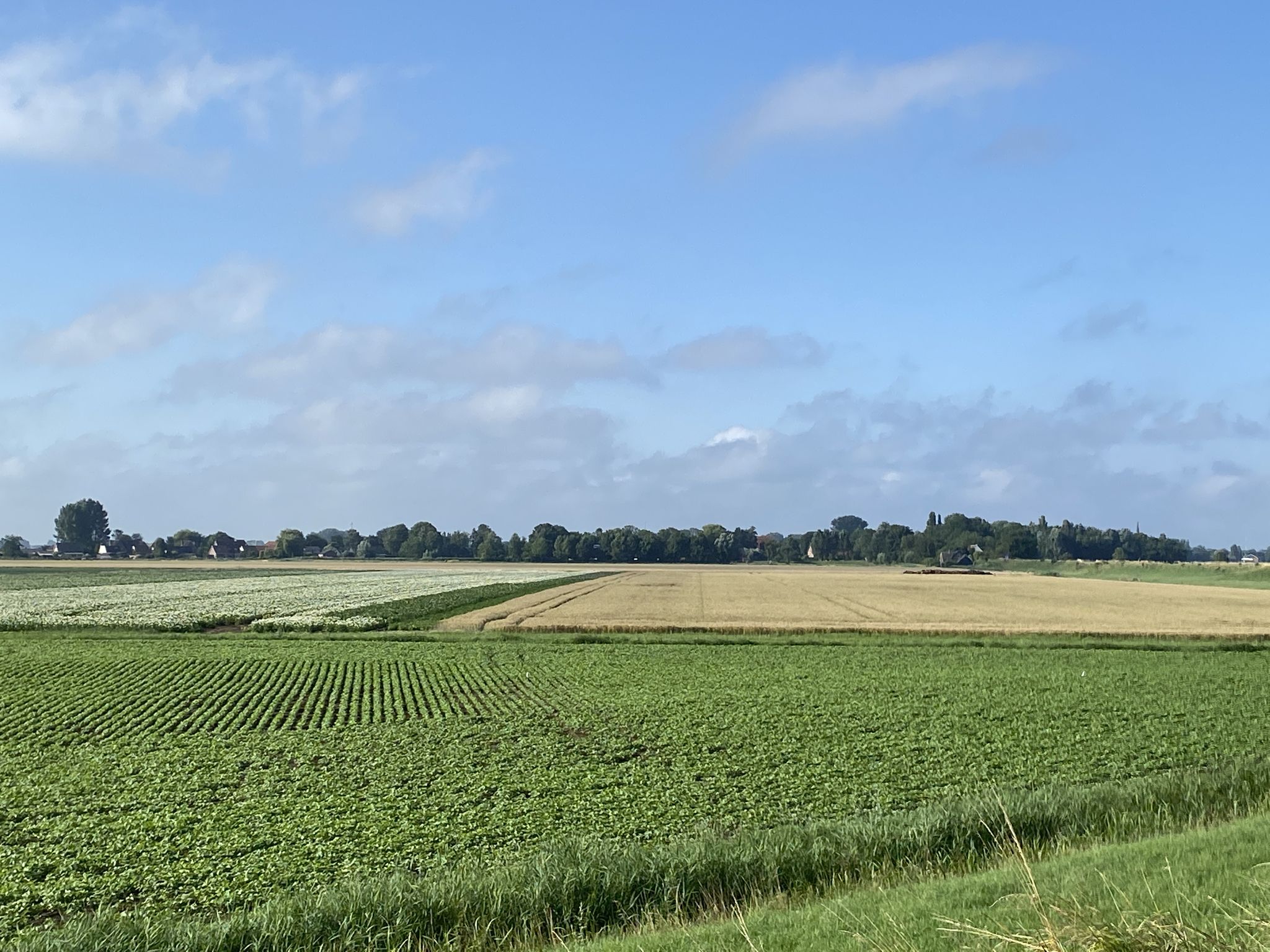 In de buurt van Nieuwendijk
