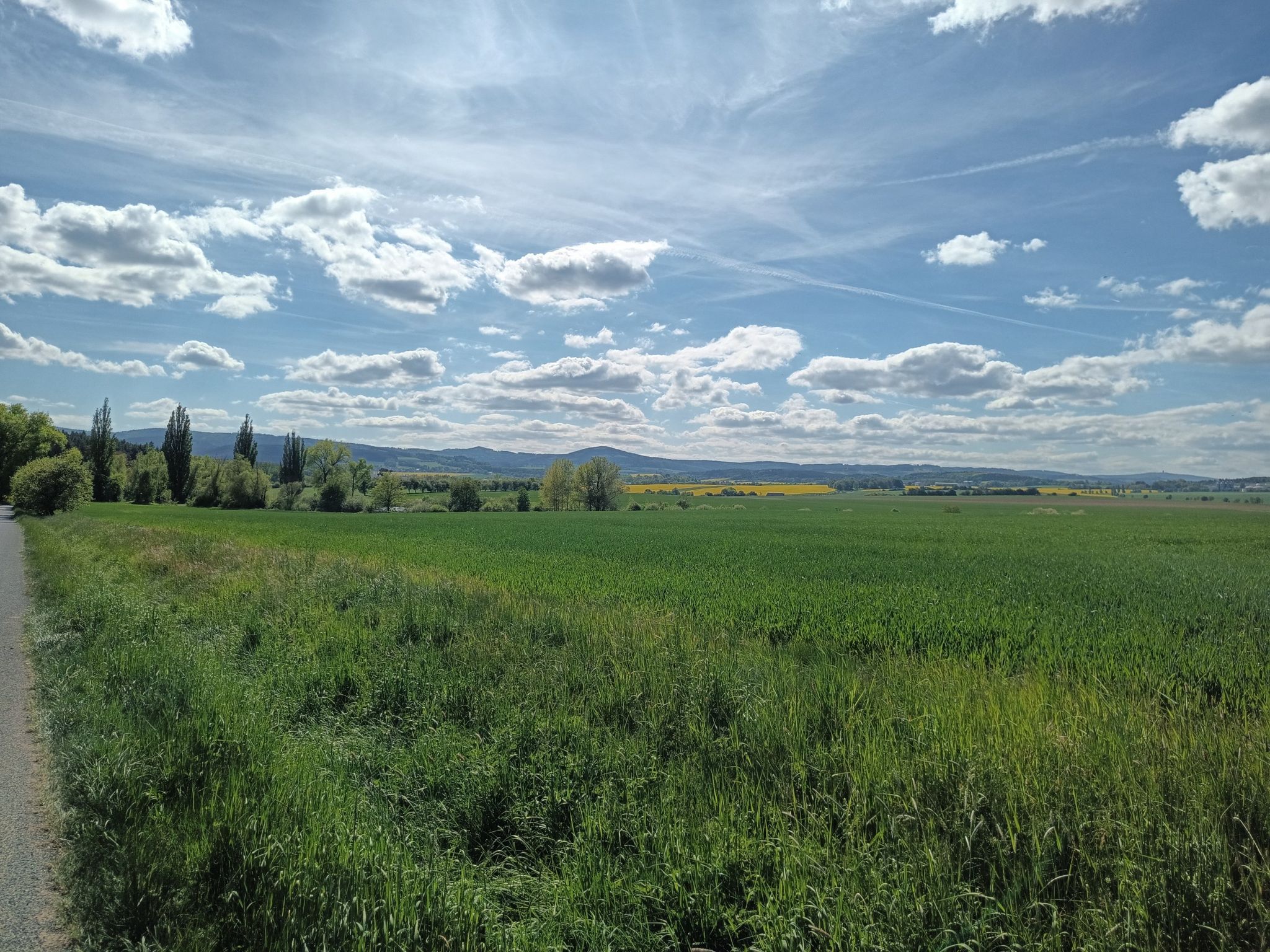 noch mehr Raps