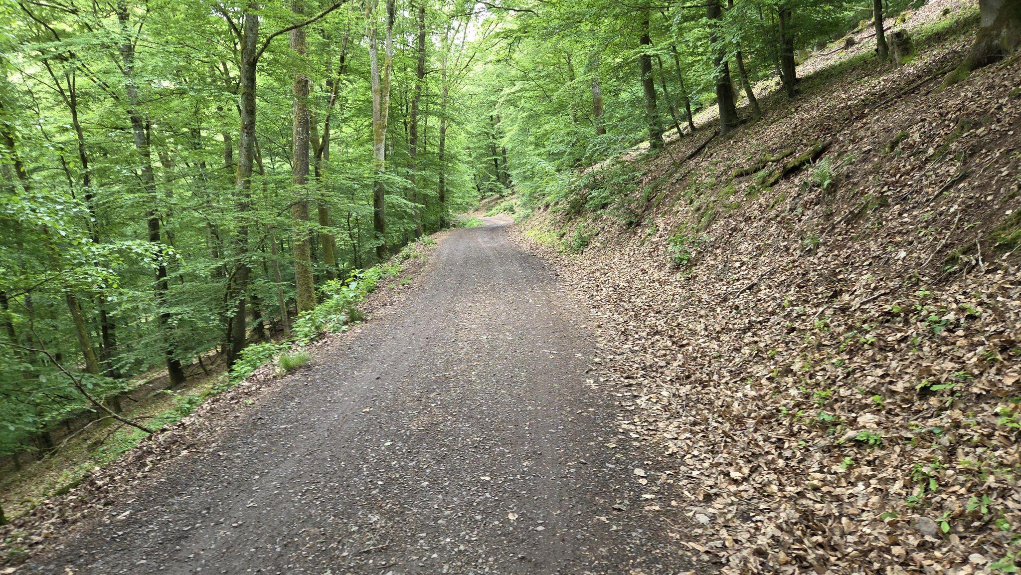 Letzte gerade vor der Auffahrt