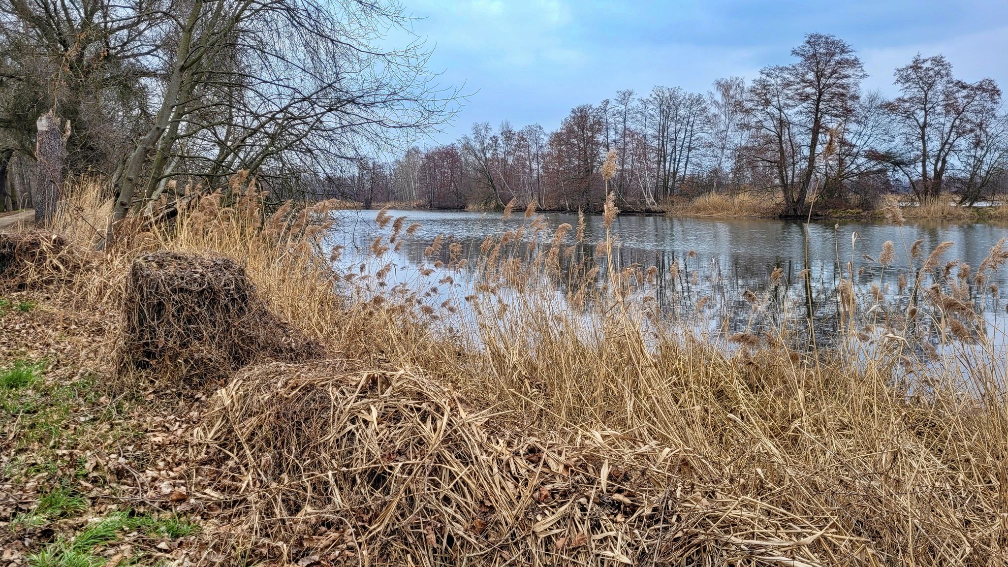 22/29 – Überraschung, nach einer Woche bereits Wasser in den Samenteichen (Glinzig)
