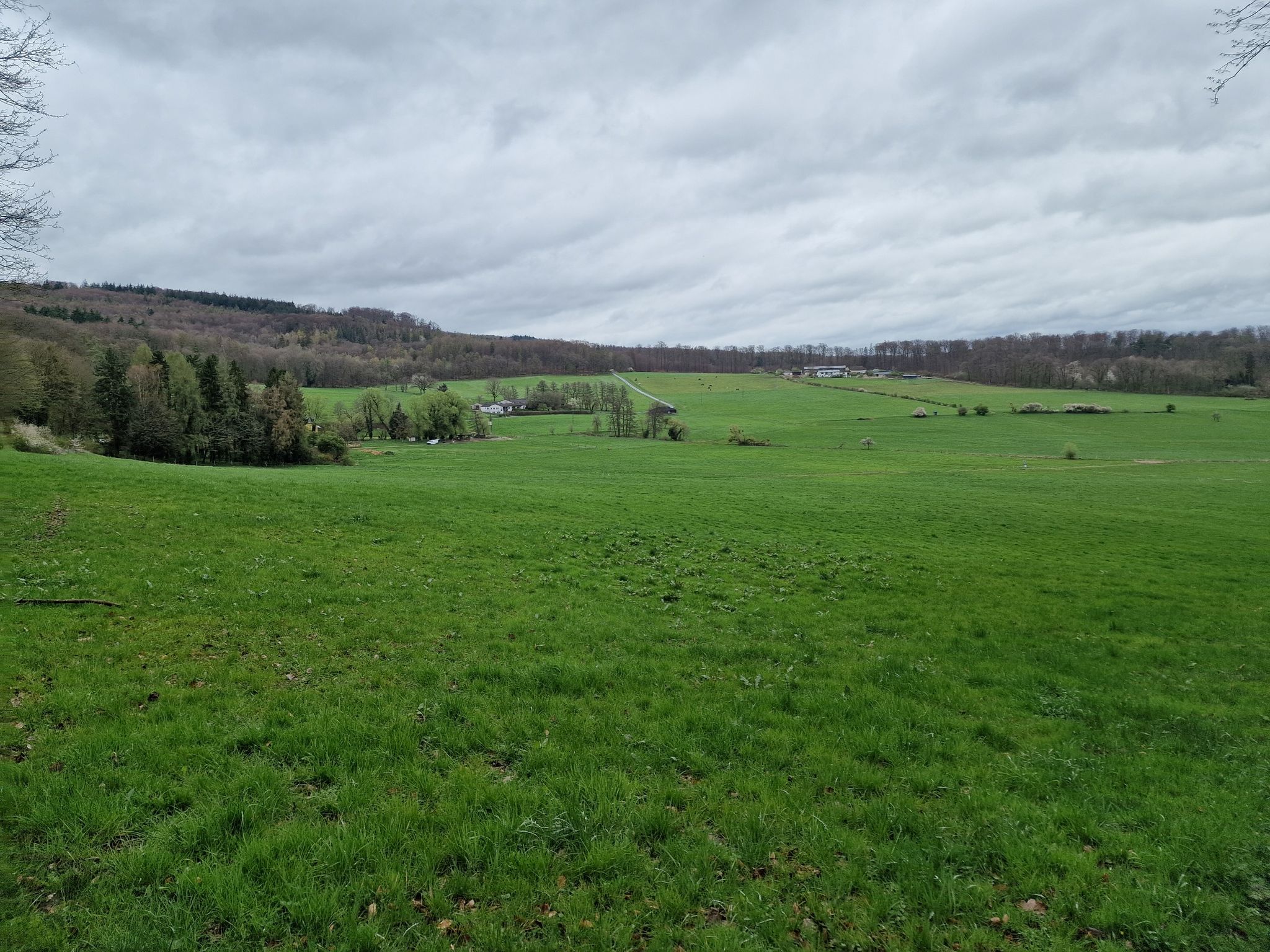 Hohlenfelsbachtal