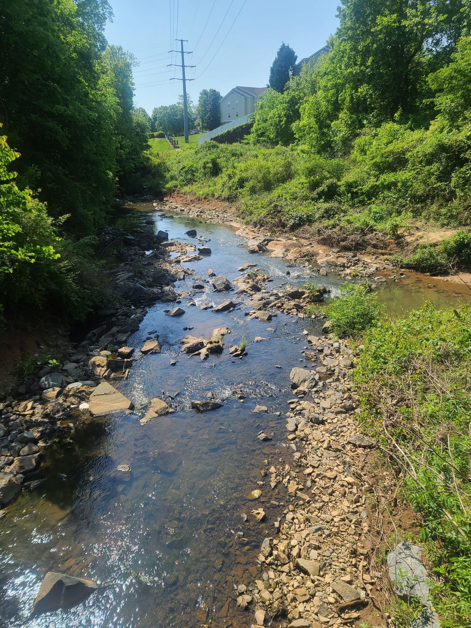 A rocky stream flows through a green, sunlit landscape with trees. - Clark's Creek Greenway – Mallard Creek Greenway loop from Rosewood Commons
