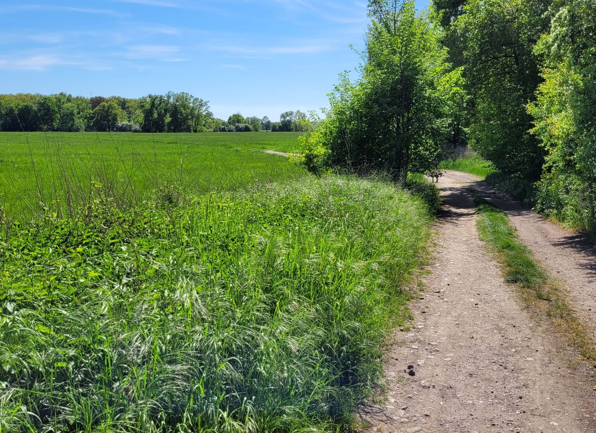 Wir wandern in Uhrzeigerrichtung