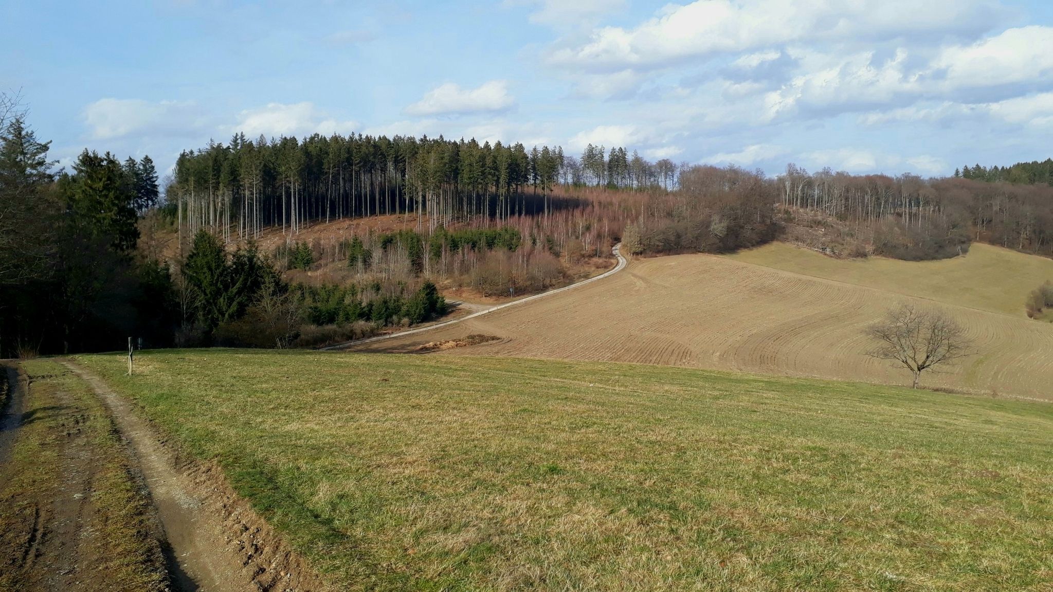bei Wigginghausen