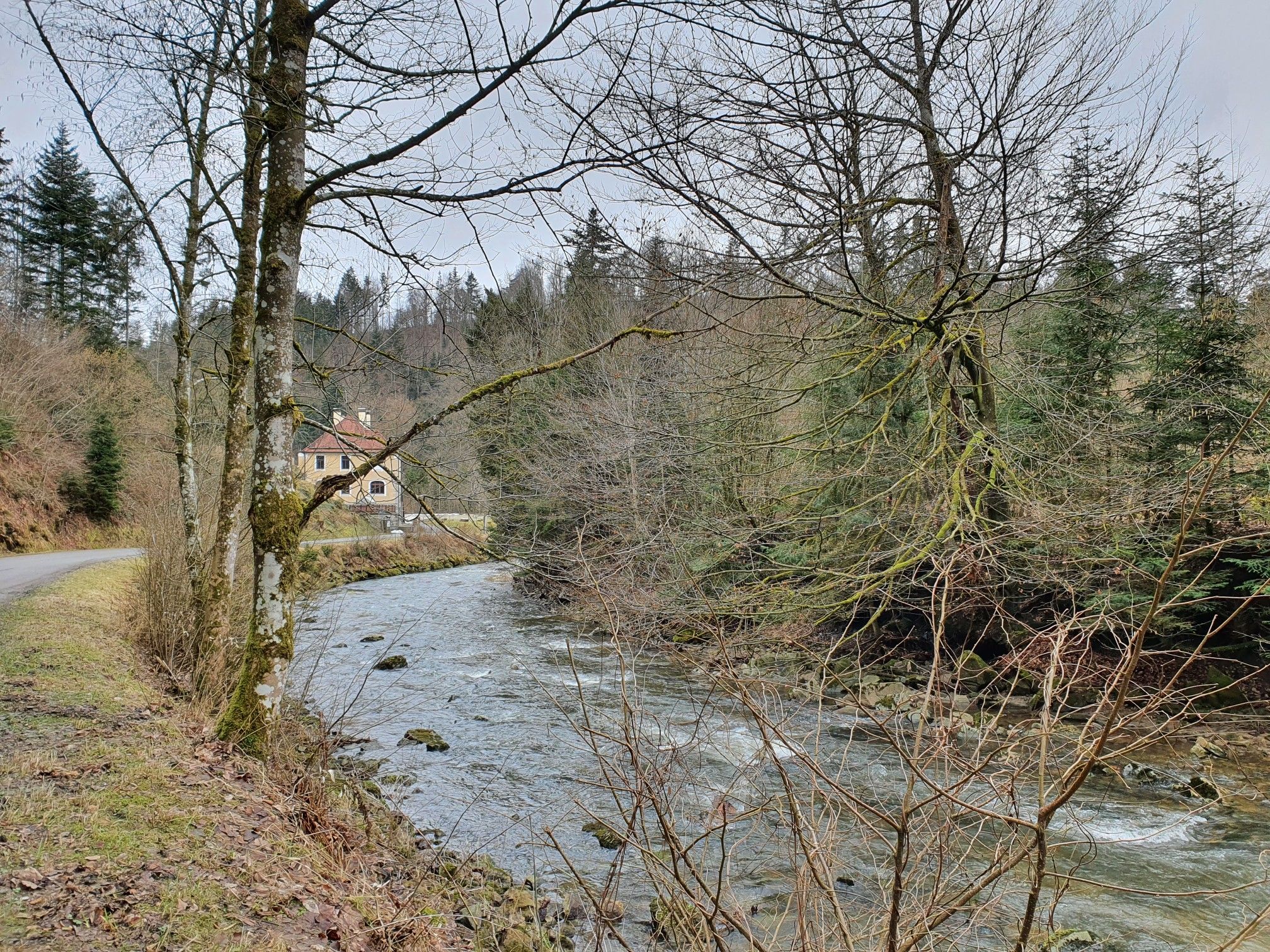 Erlau