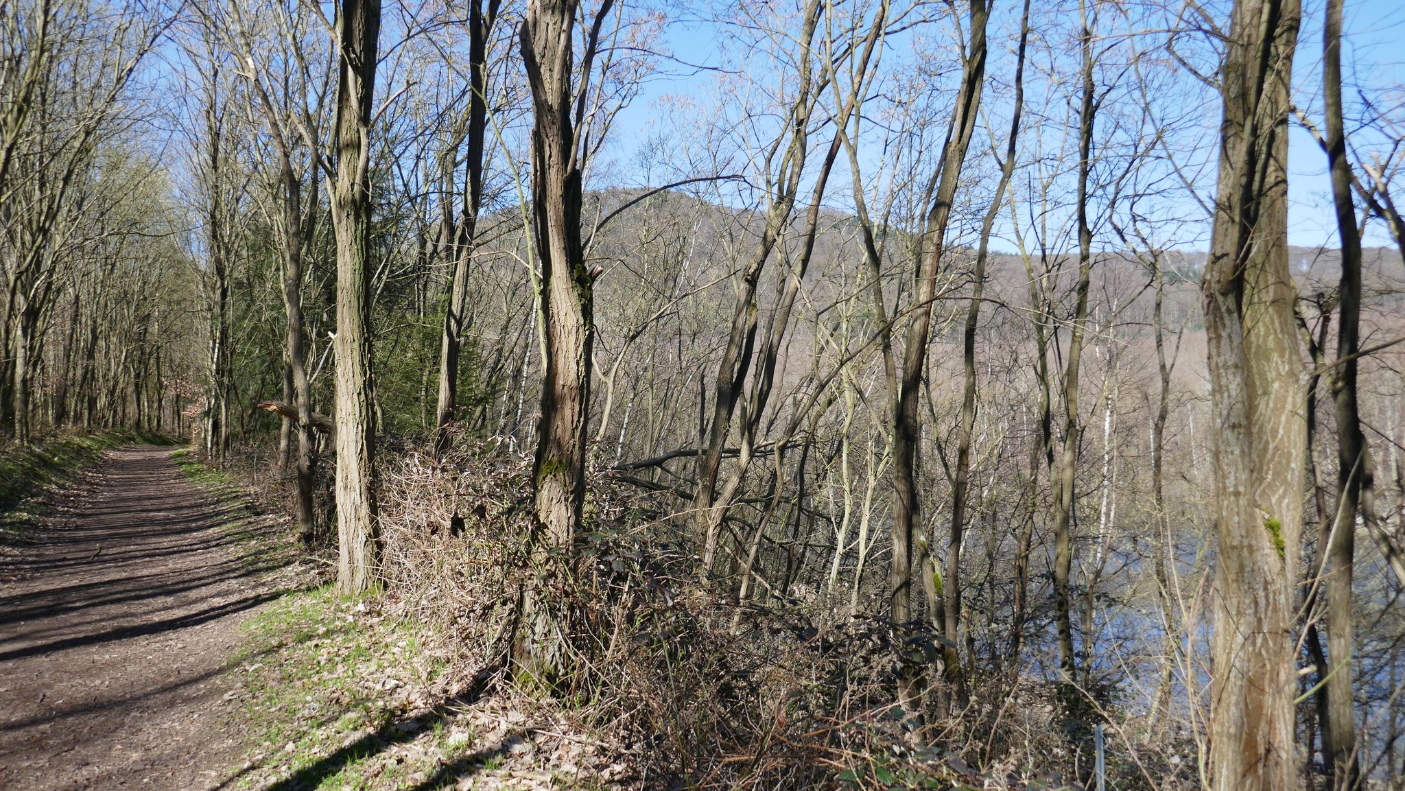 Krufter Waldsee