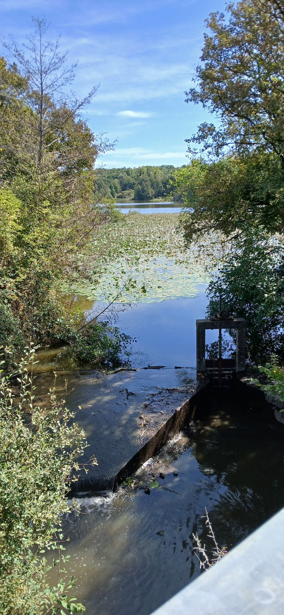 Etang du petit village 