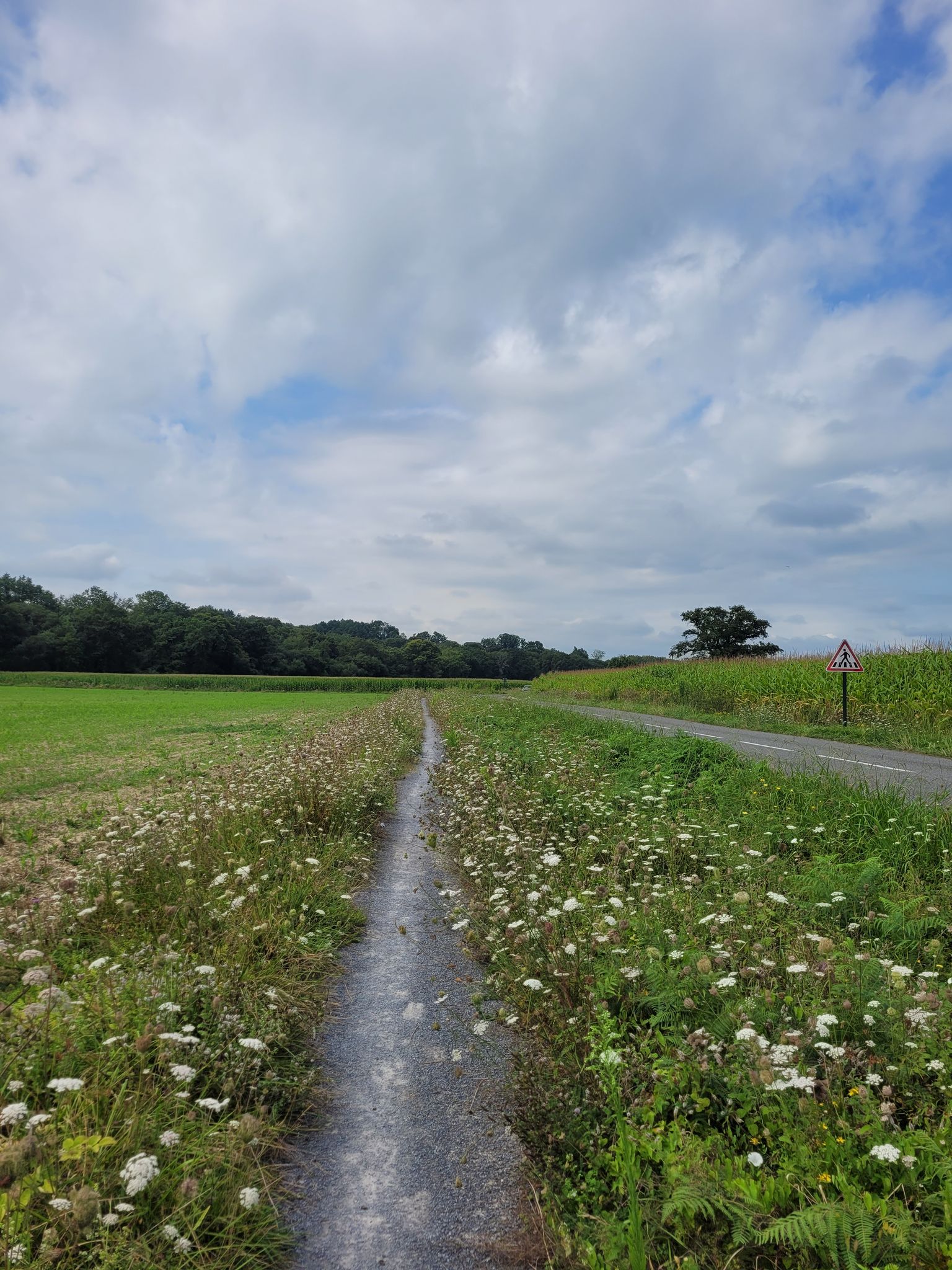 S'il y avait partout ce type de chemin aux bords des routes...!
