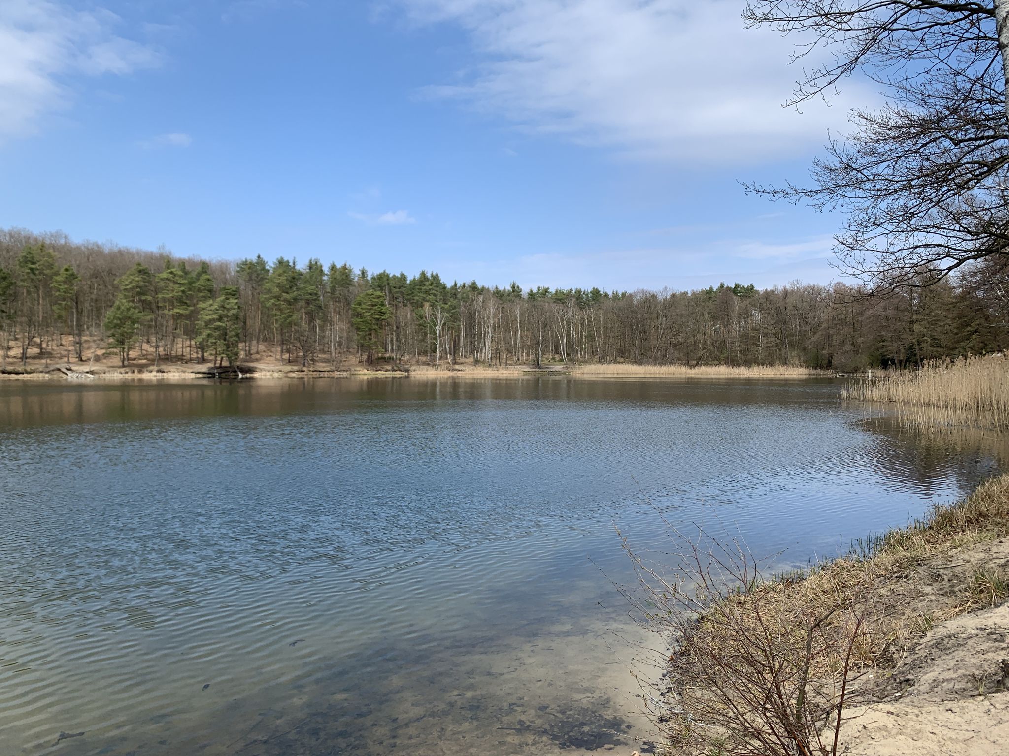 Kleiner Lienewitzsee