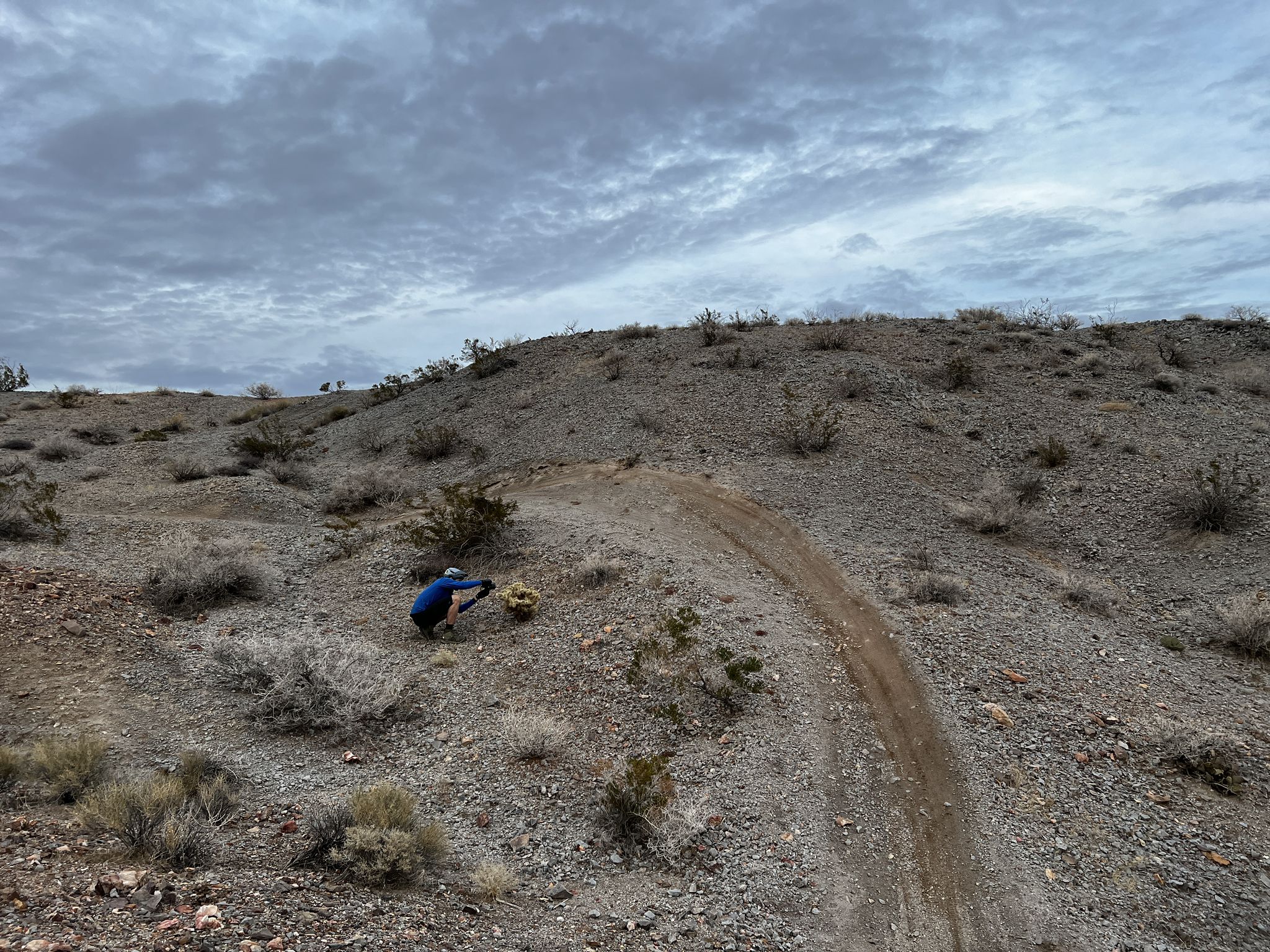 Person crouching on a dirt path in arid, rocky hills under an overcast sky. - Giant Bicycle – Bootleg Canyon Trailhead loop from Home of Hoover Dam