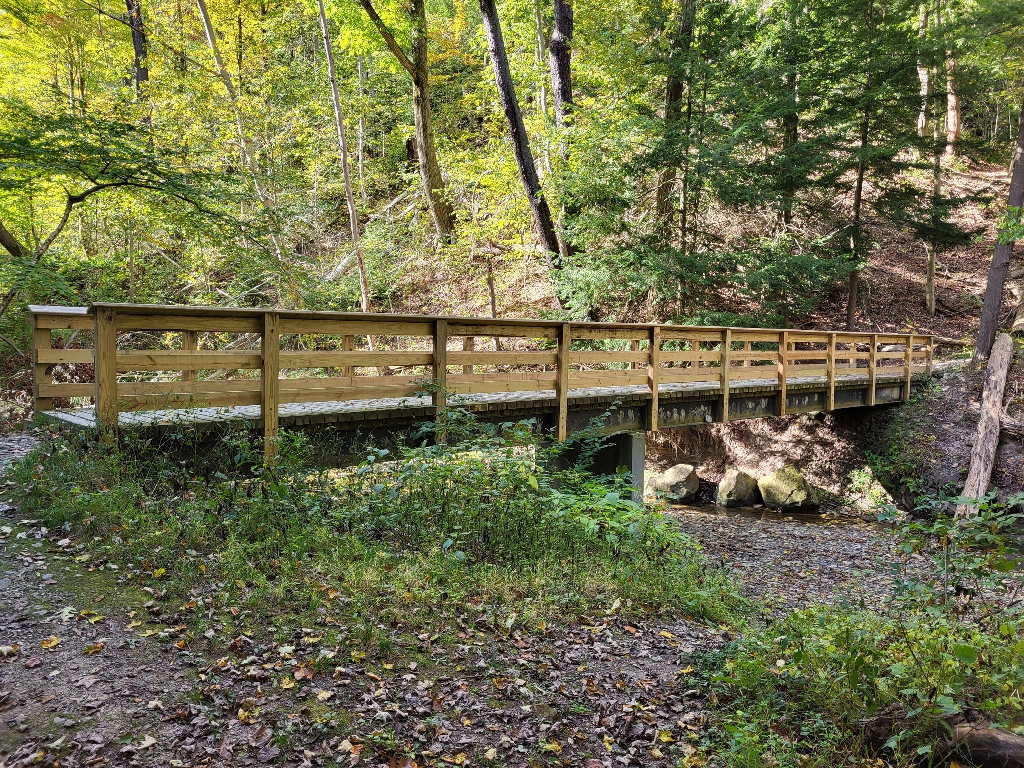 Long wooden bridge over a gully in a sunlit, green forest. - Squire's Castle loop from North Chagrin Reservation