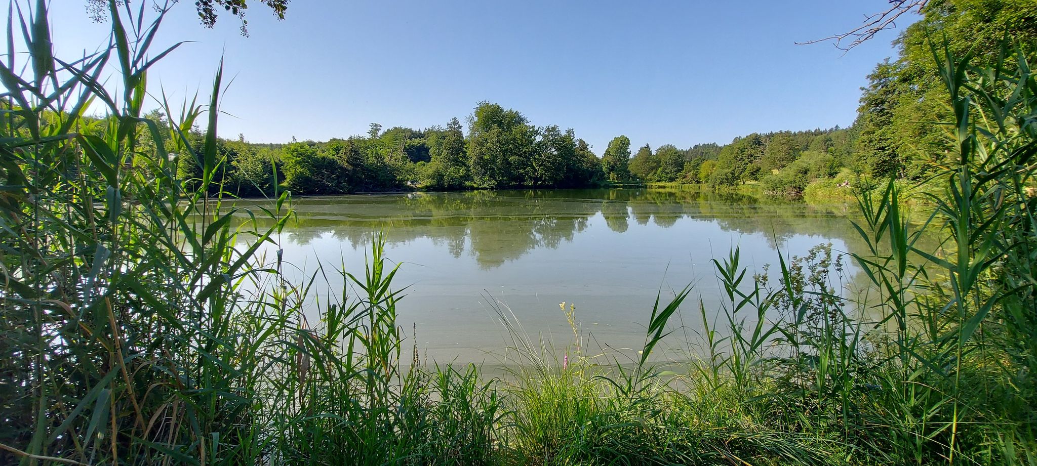 Zeller See