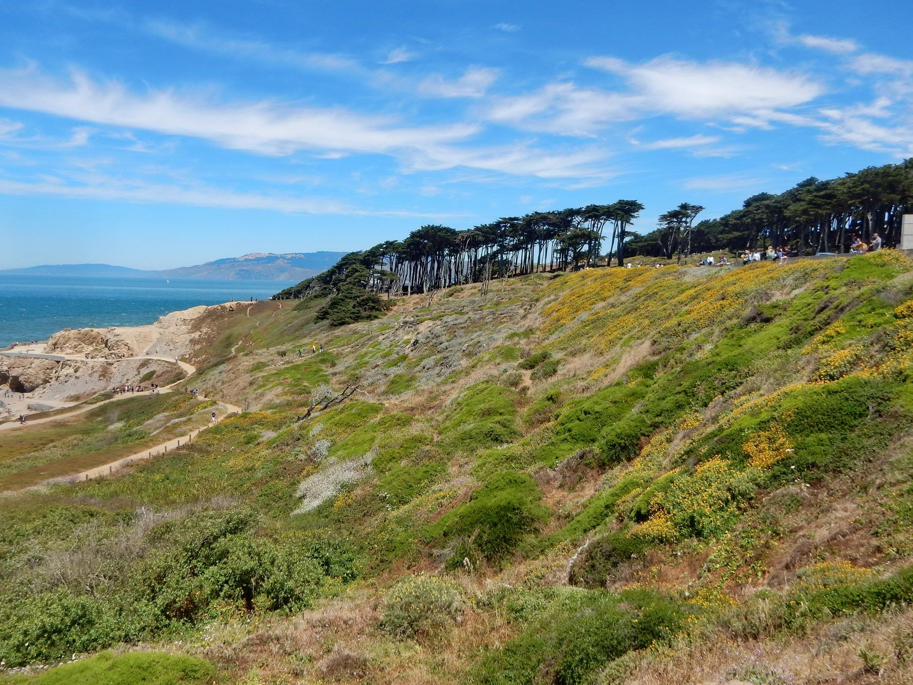 Sunny coastal hillside with green and yellow plants, ocean, and distant trees. - Chinatown (Dragon Gate entrance) – Union Square loop from Chinatown-Rose Pak