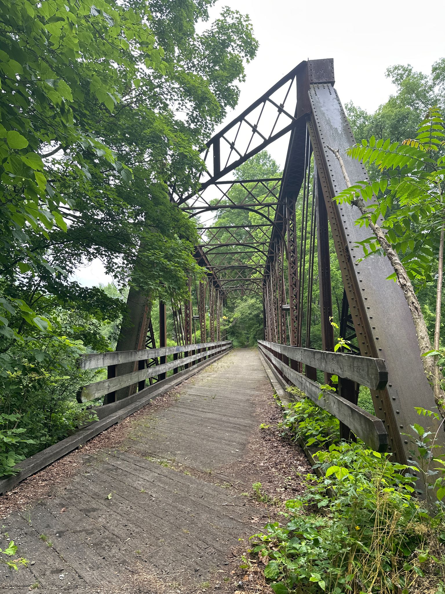 Old metal truss bridge with wooden deck, surrounded by green trees under diffused light. - Paulinskill Valley Trail