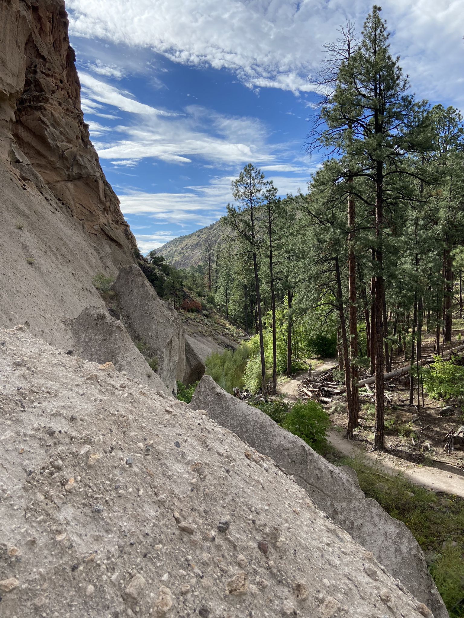 Steep, eroded rock face beside a forest path under a blue sky. - Main Loop and Alcove House Trail