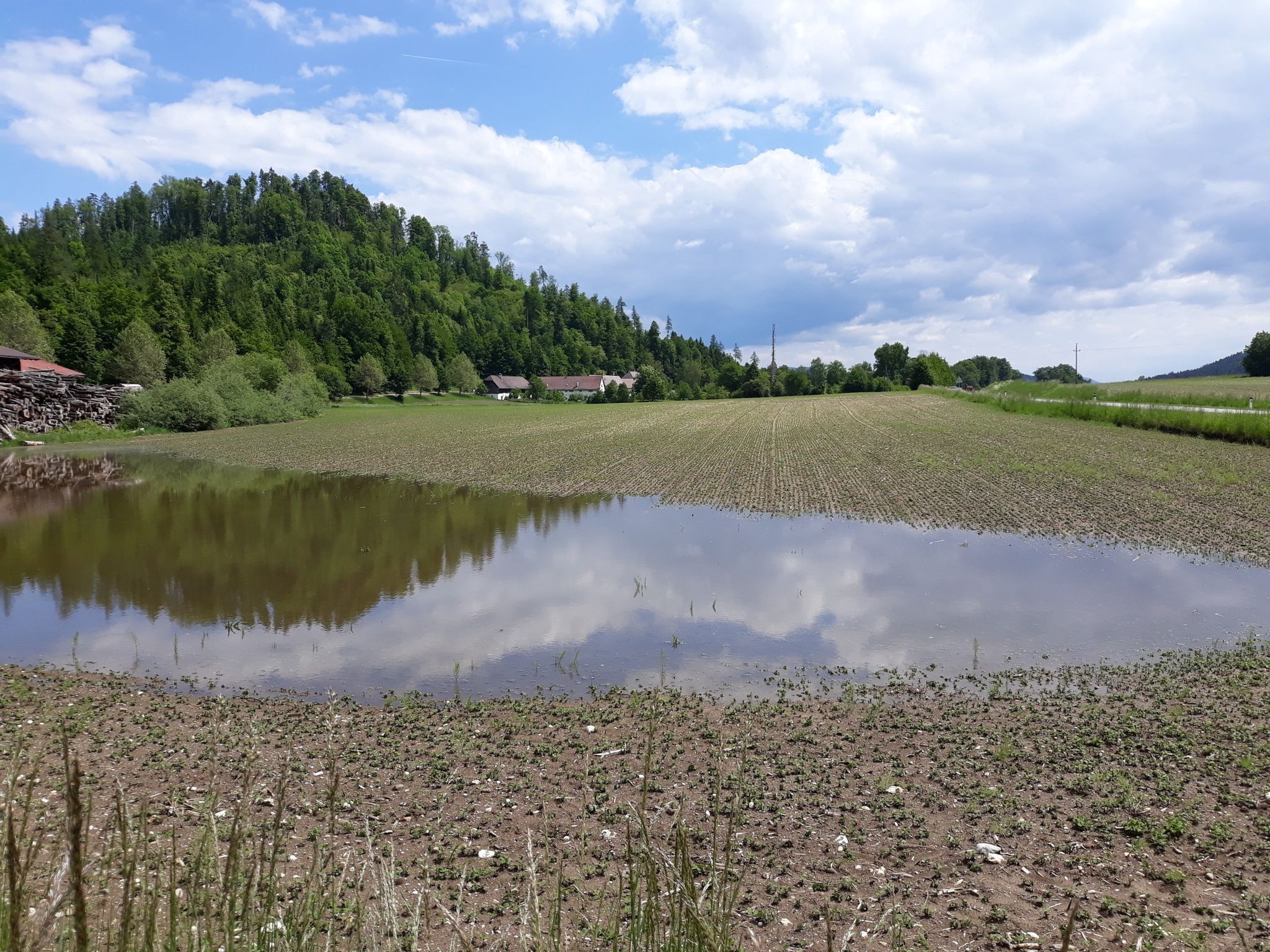 Sonnegg (Zenek), Blick auf Hügel mit Ruine