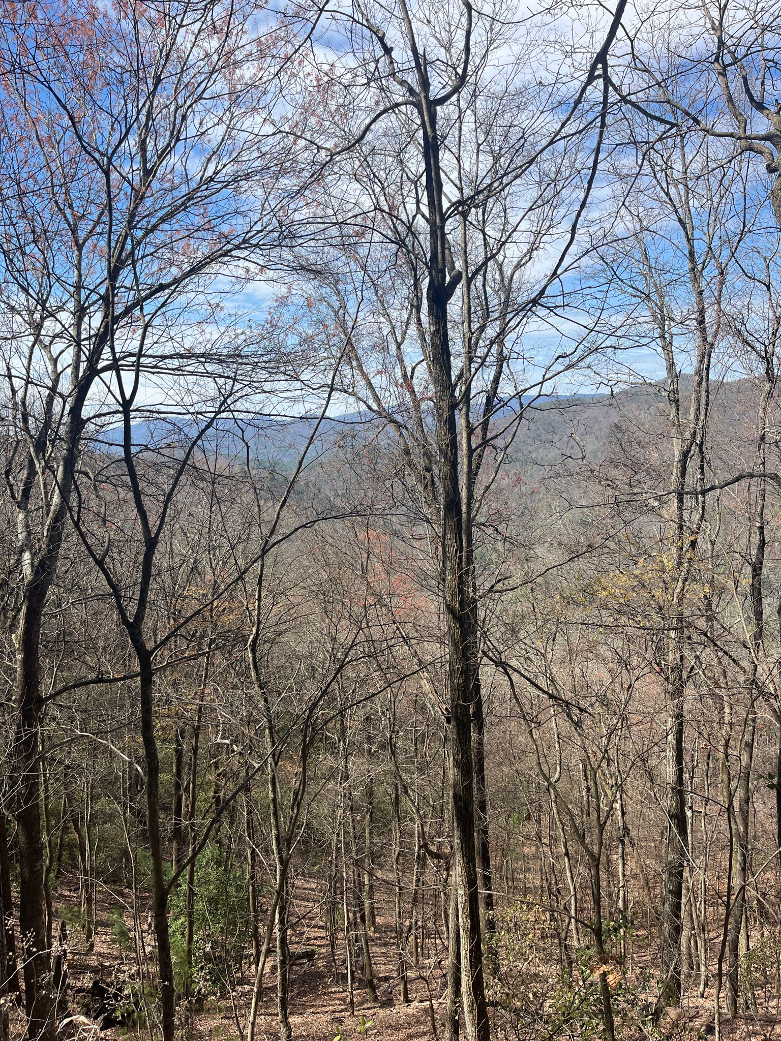 Bare trees frame a view of distant mountains under a blue sky. - Smith Creek Trail to Anna Ruby Falls