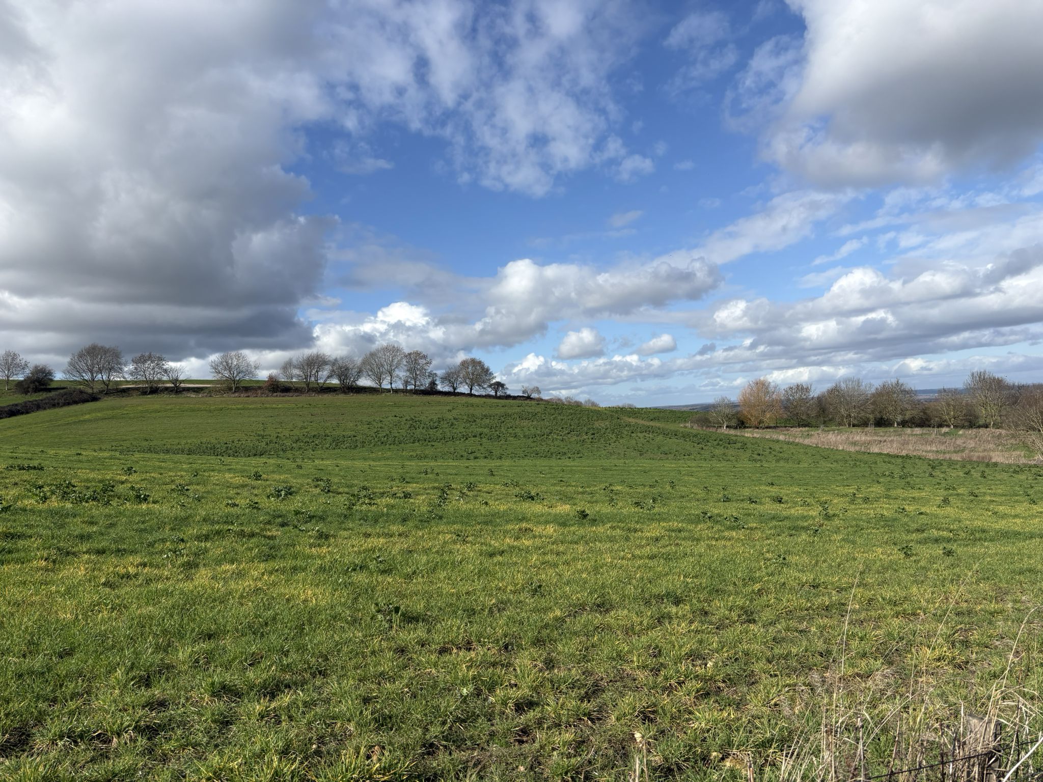 Warwickshire fields