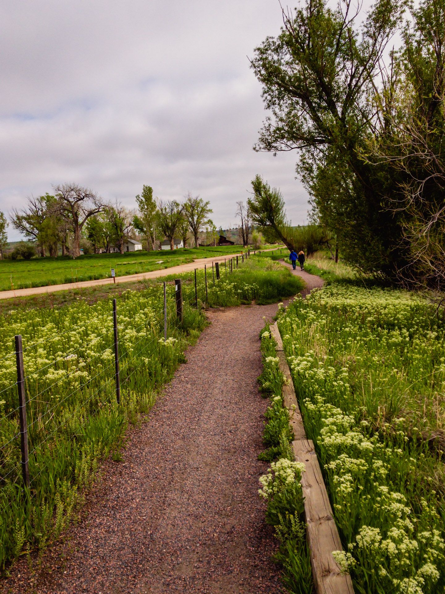 A gravel path winds through green fields with wildflowers under an overcast sky. Two people walk in the distance. - East Boulder Trail