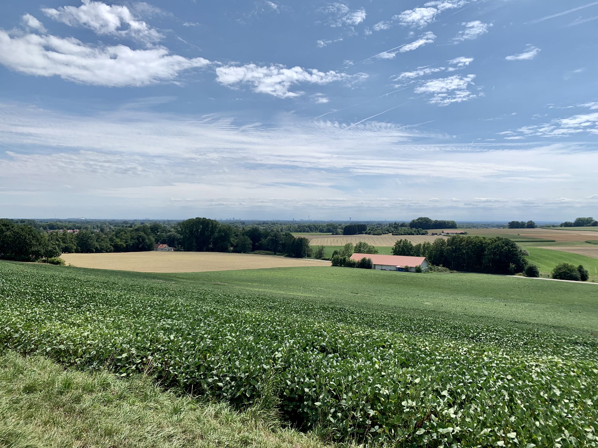Blick nach München mit Olympiaturm und Allianz-Arena