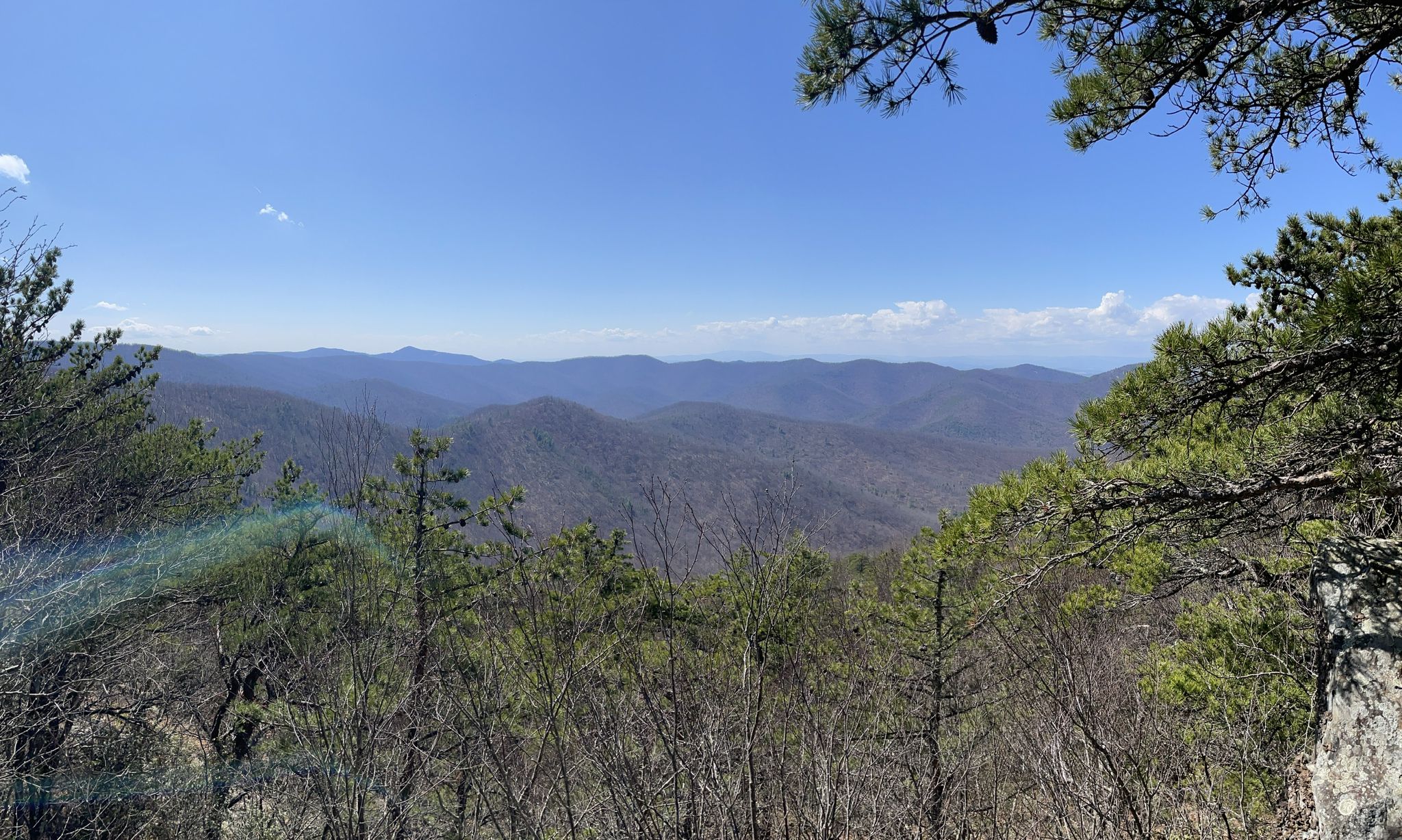 Panoramic view of rolling mountains under a clear blue sky, framed by trees. - Appalachian Trail to Ivy Creek