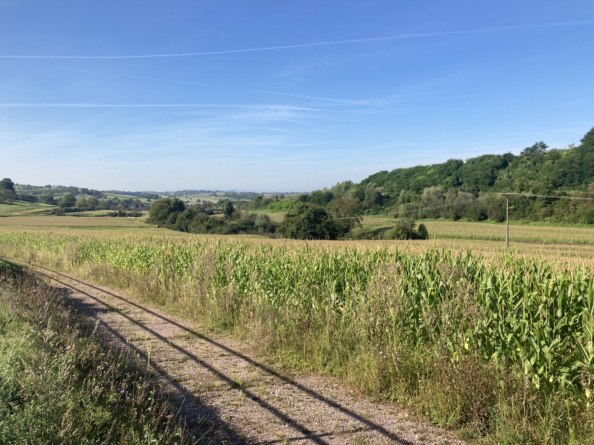 Wallburg nach Münchweier