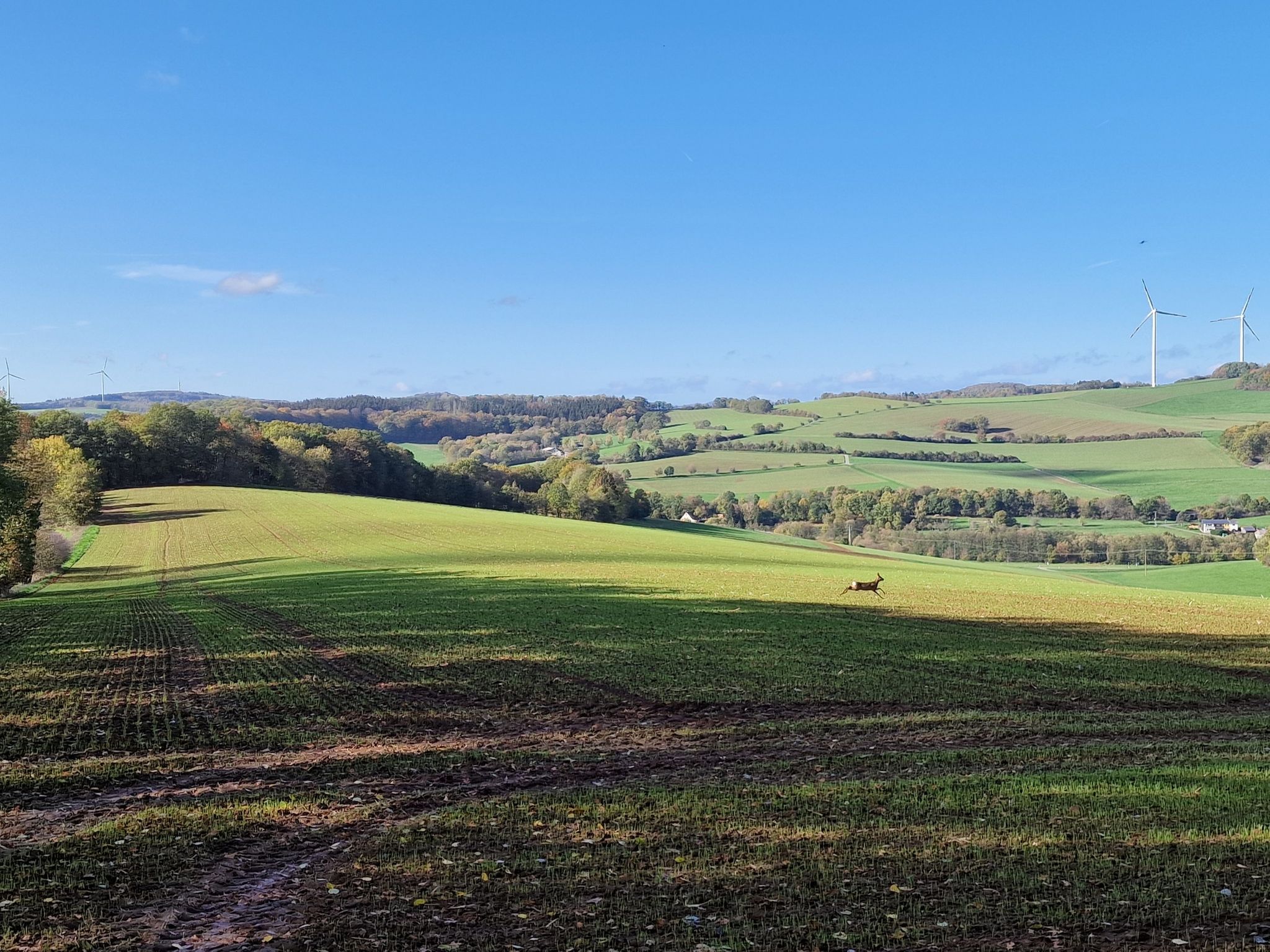 Natur pur
