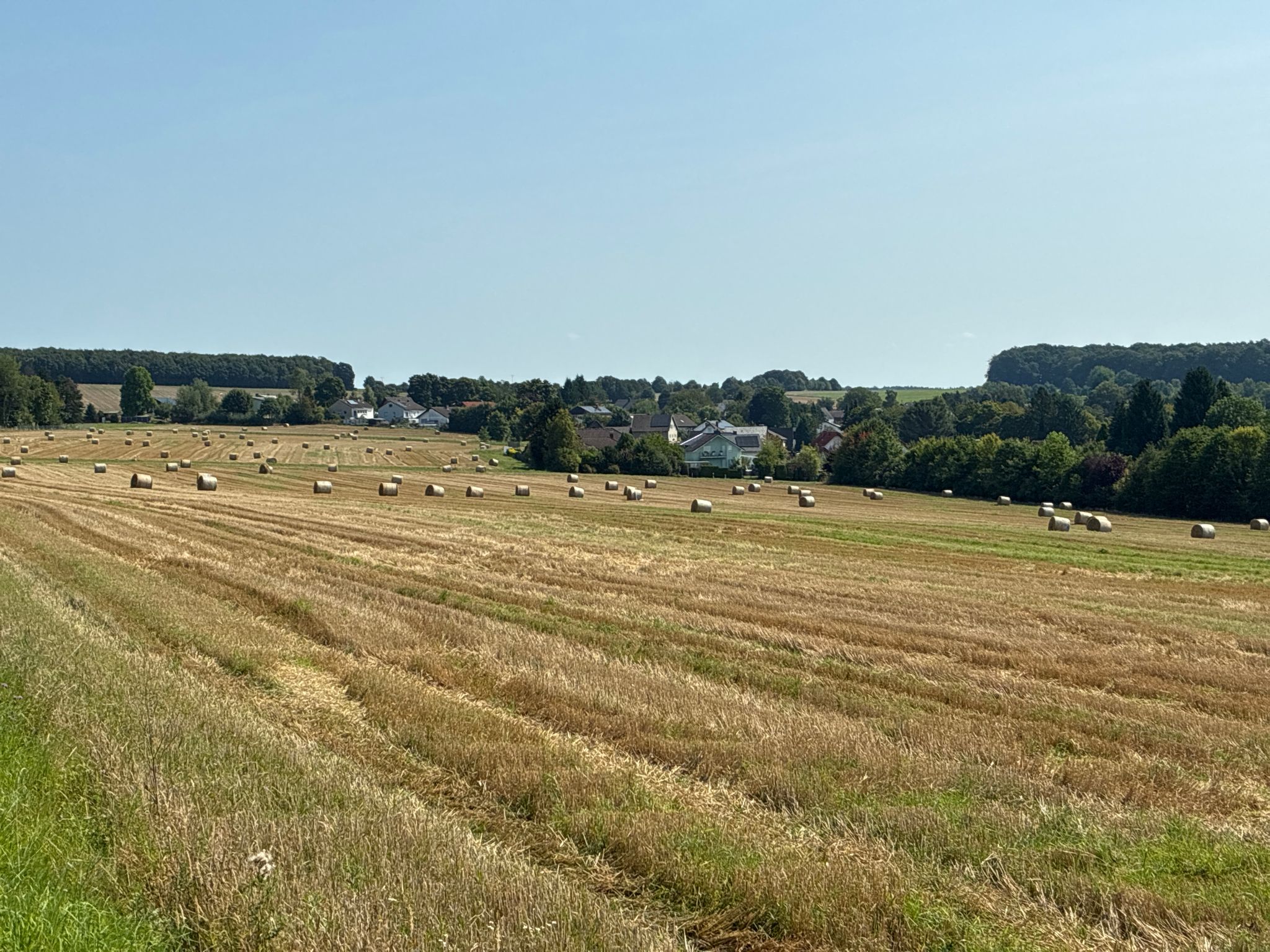 die Ernte bei Rodenbach ist eingebracht